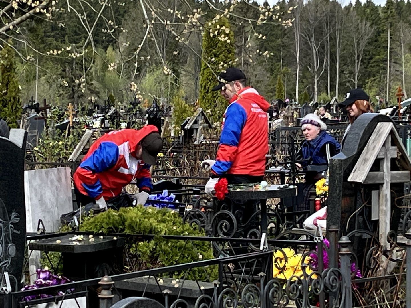 волонтеры подмосковья