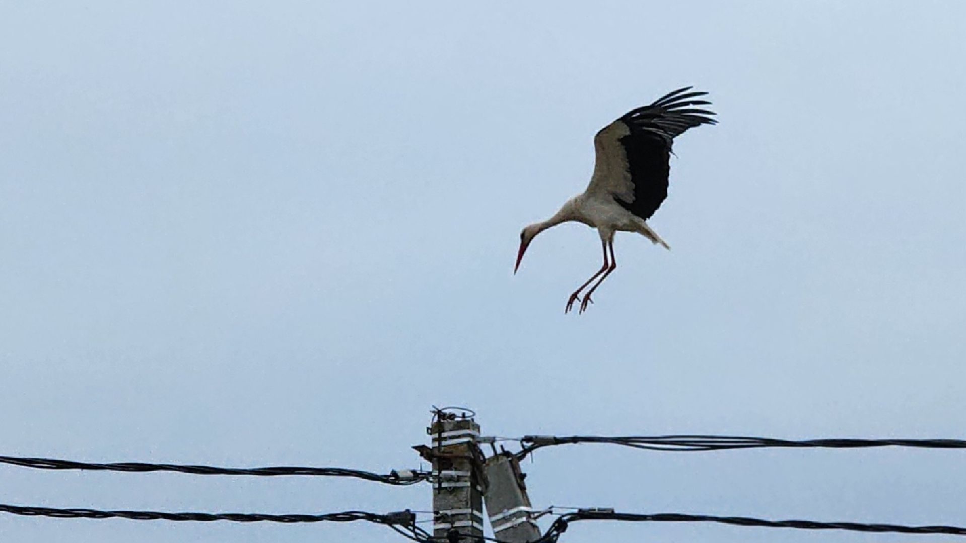 волоколамск