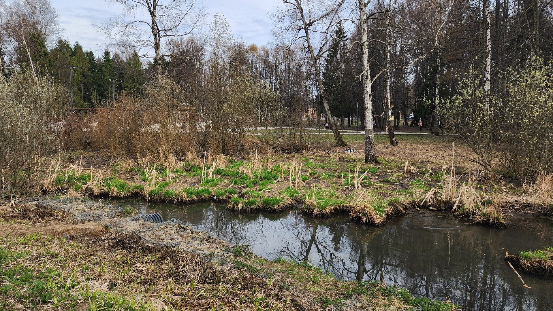 очистка водоема