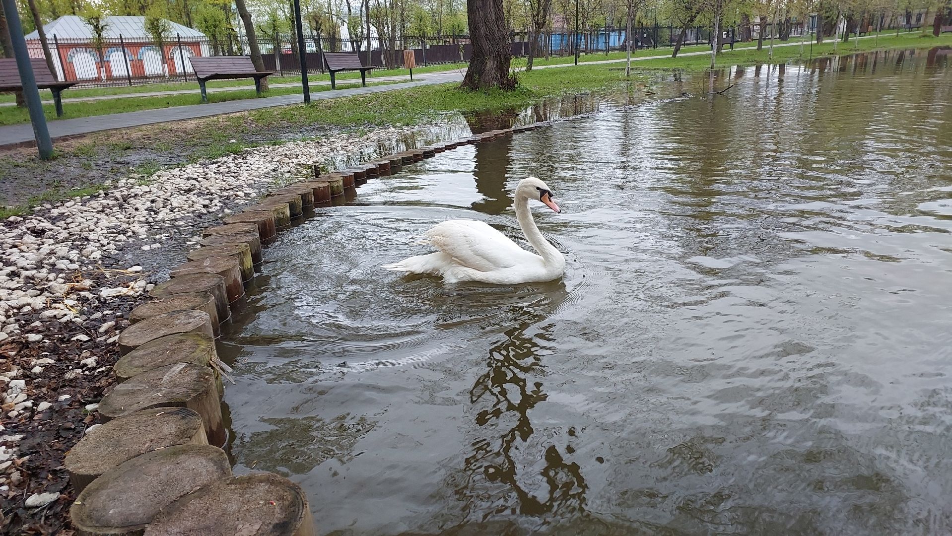 парки