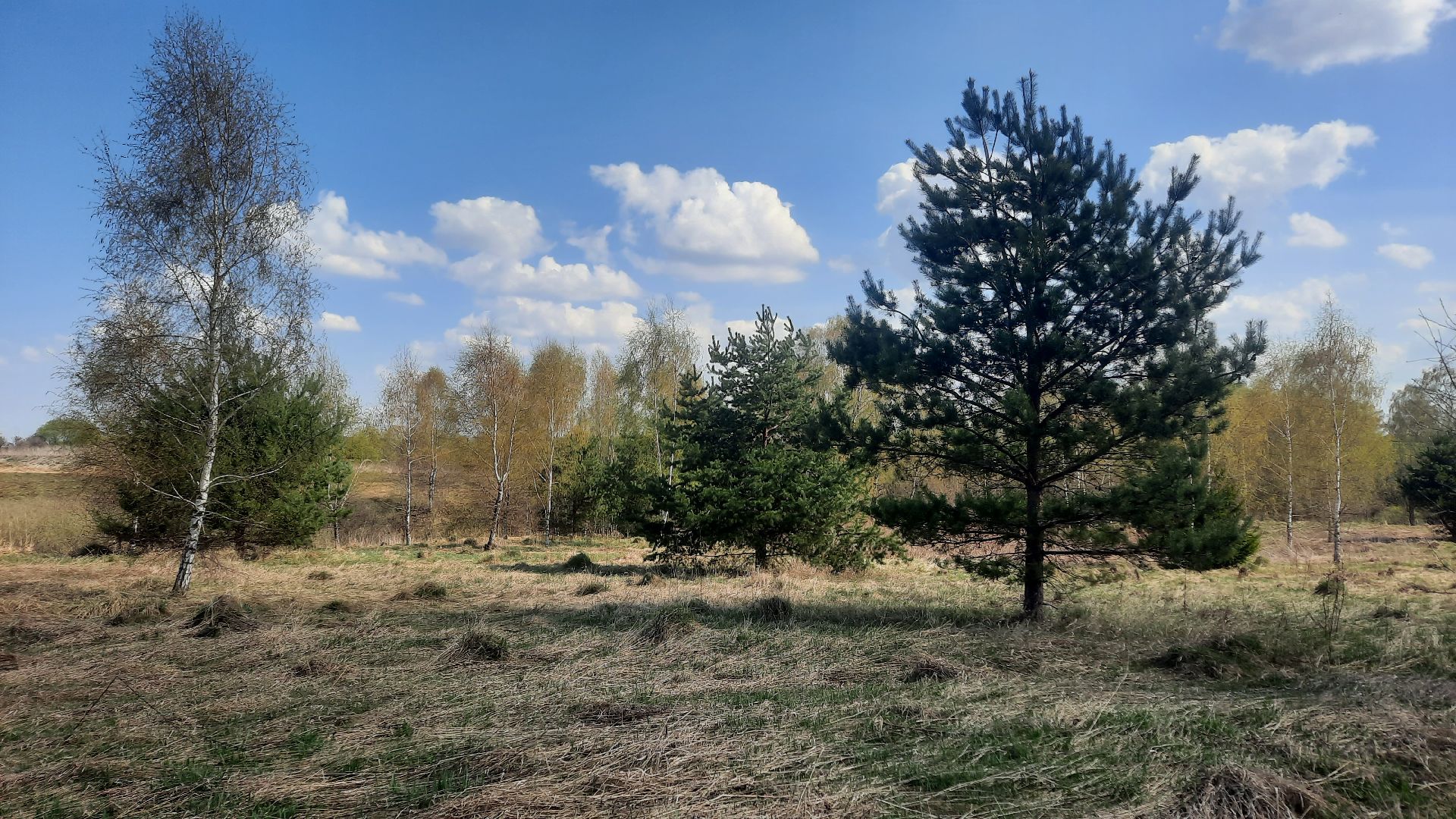 торги