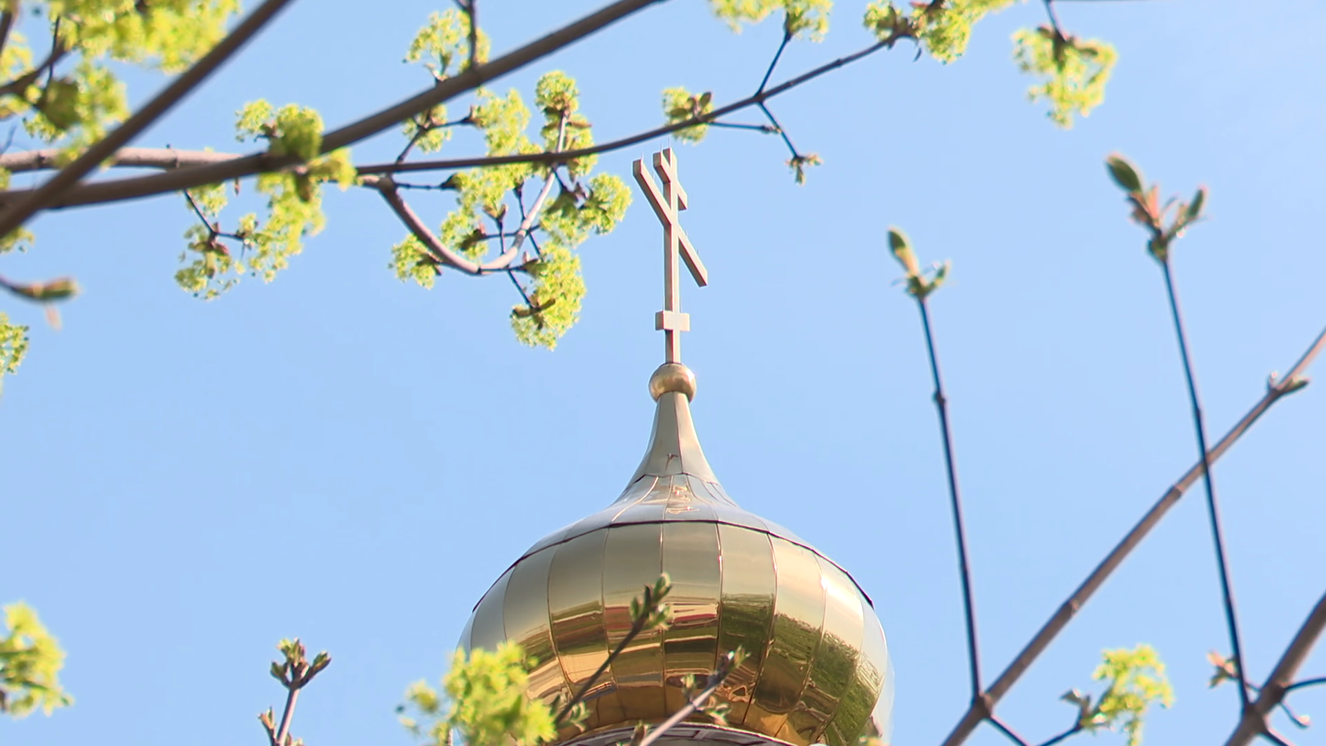 реутов
