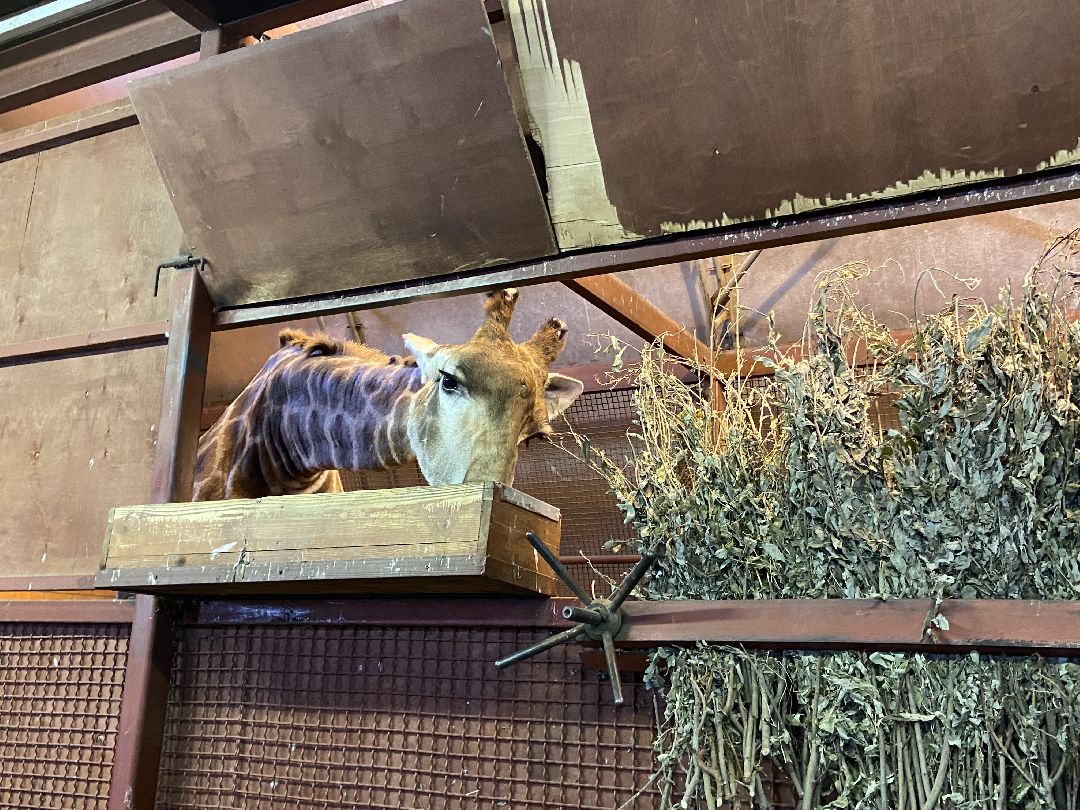 волоколамск