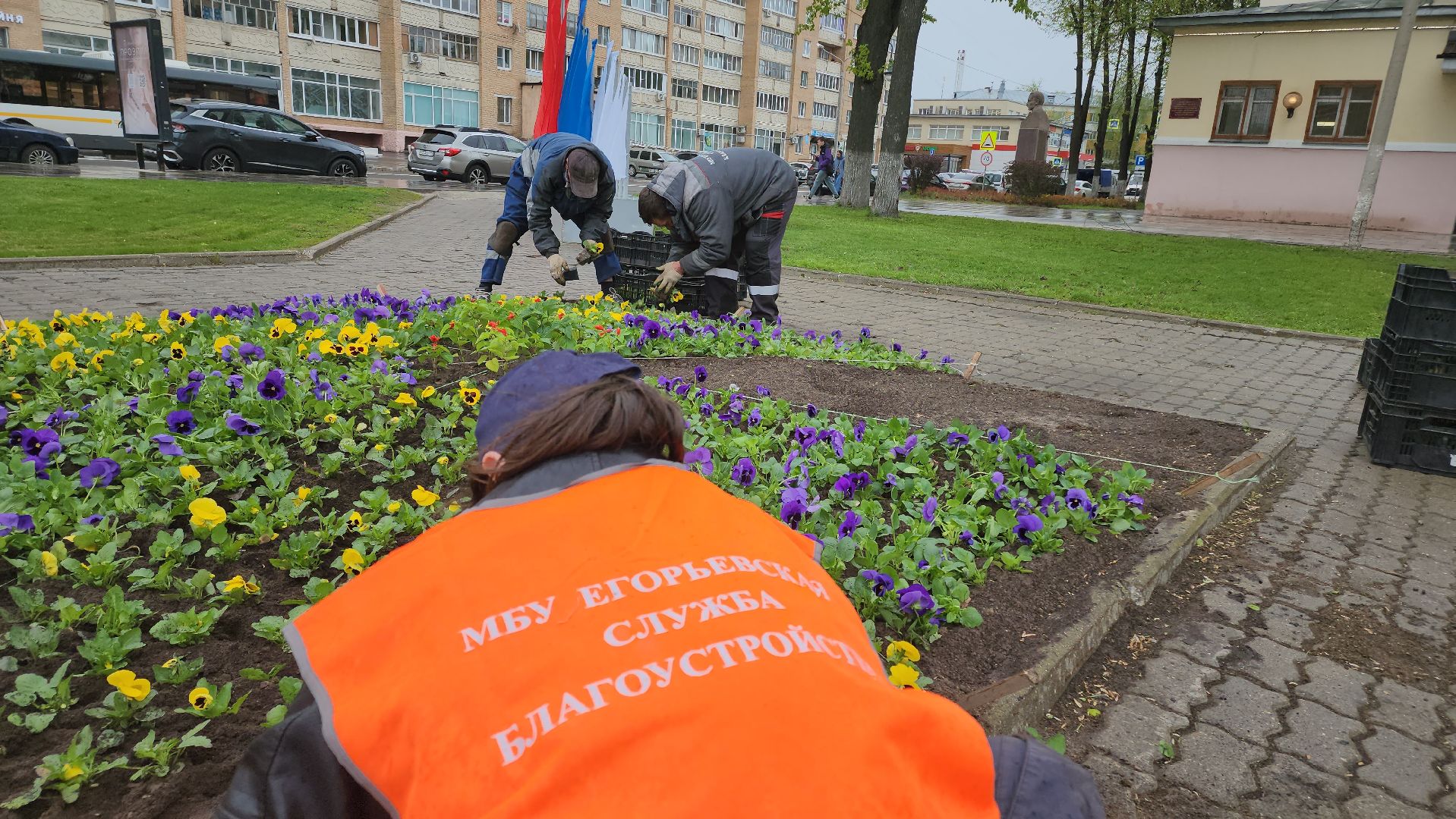 егорьевс