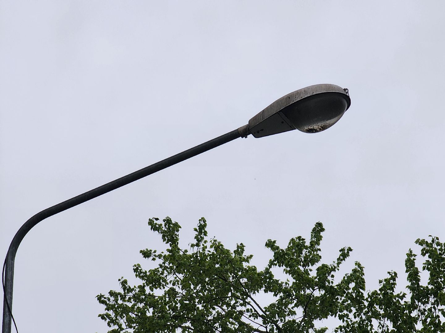 Королев