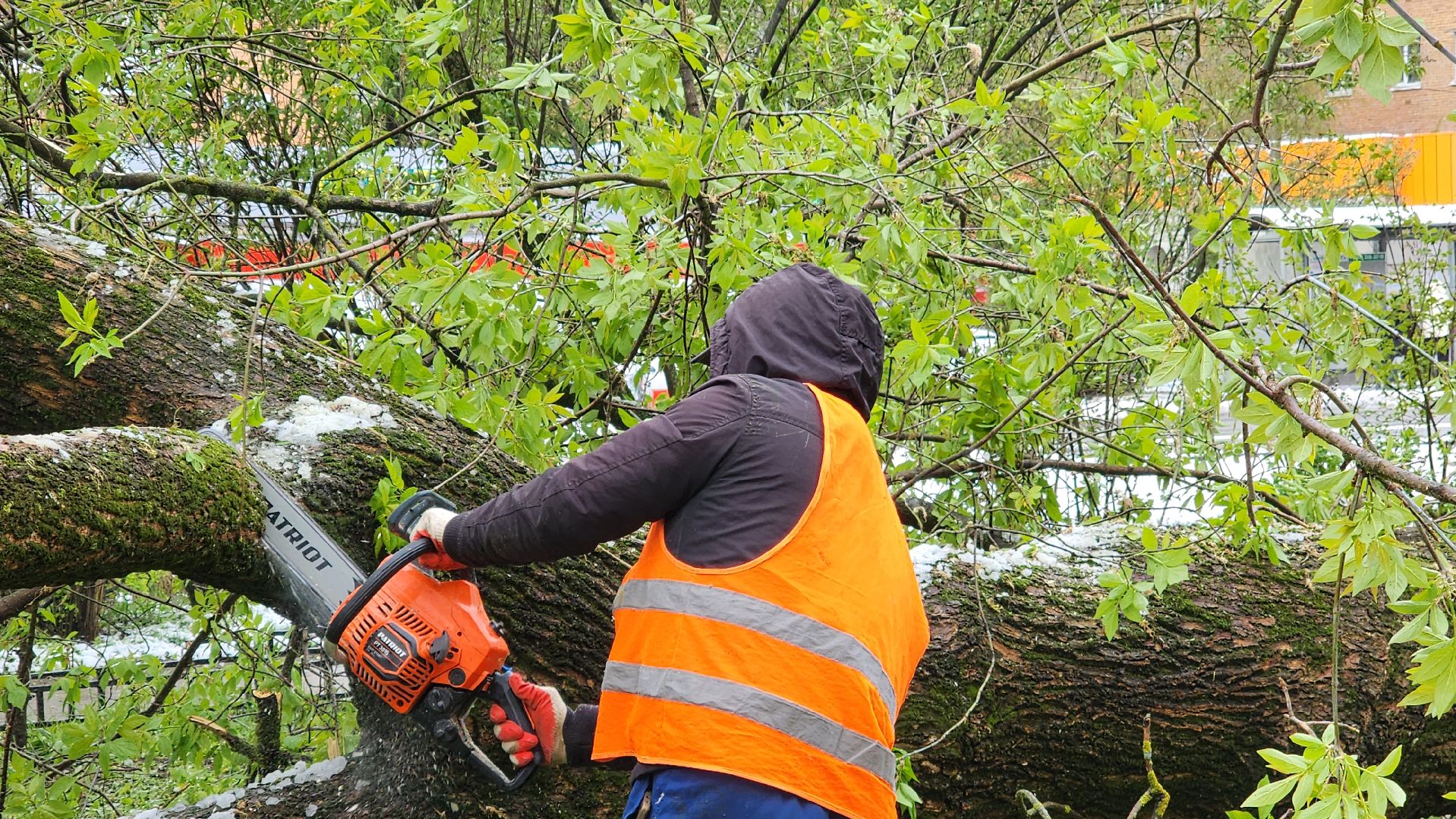 коммунальная служба