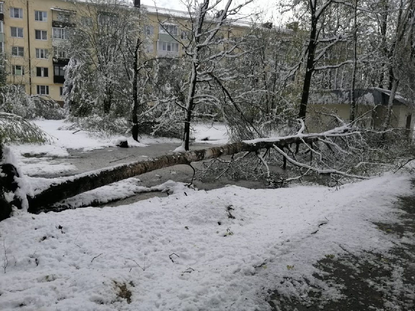СК