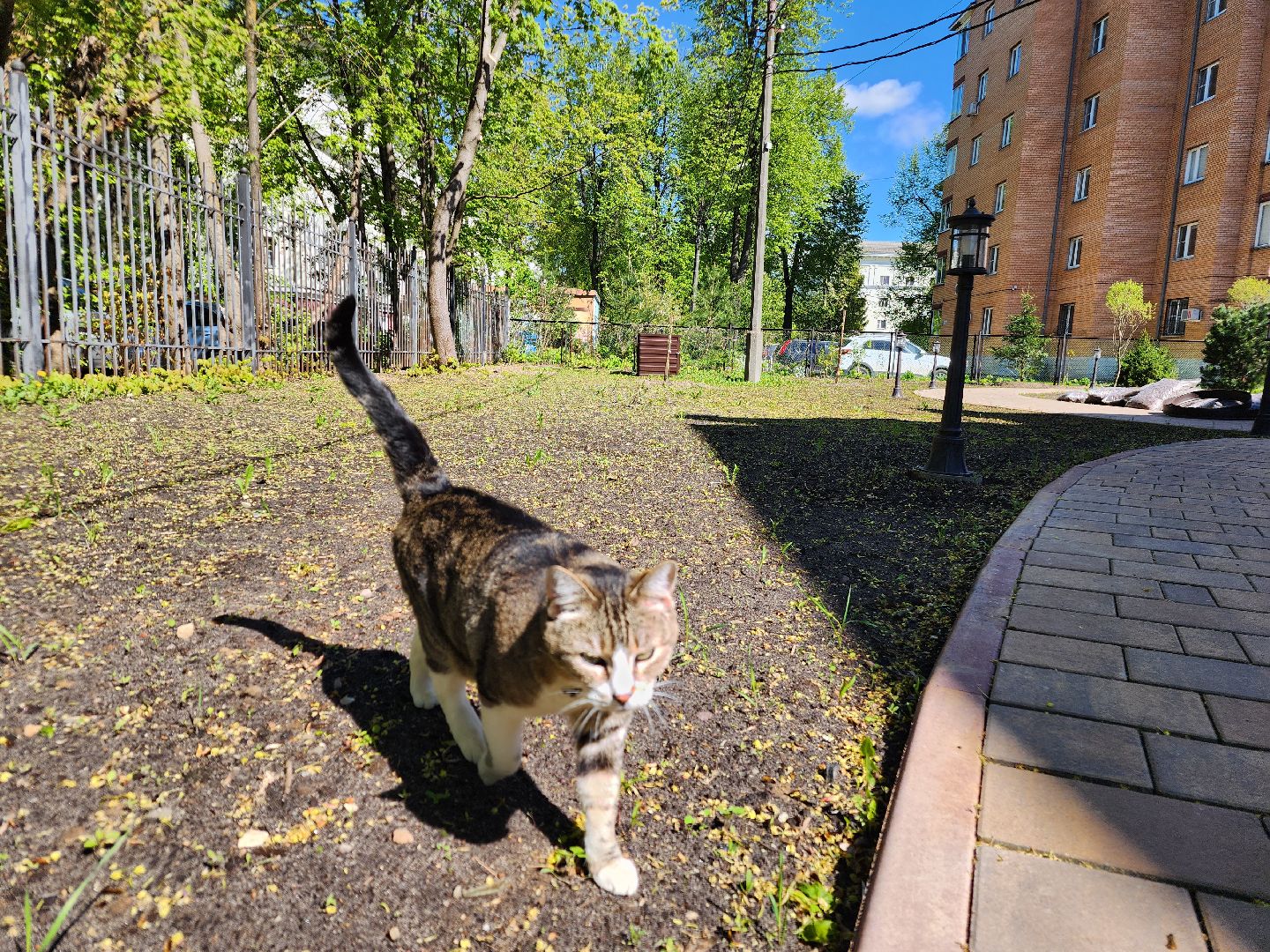 Благо