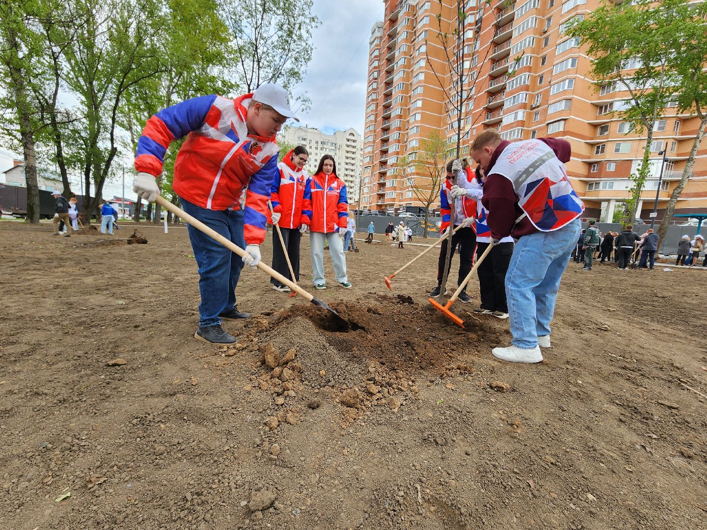 мытищи лайт