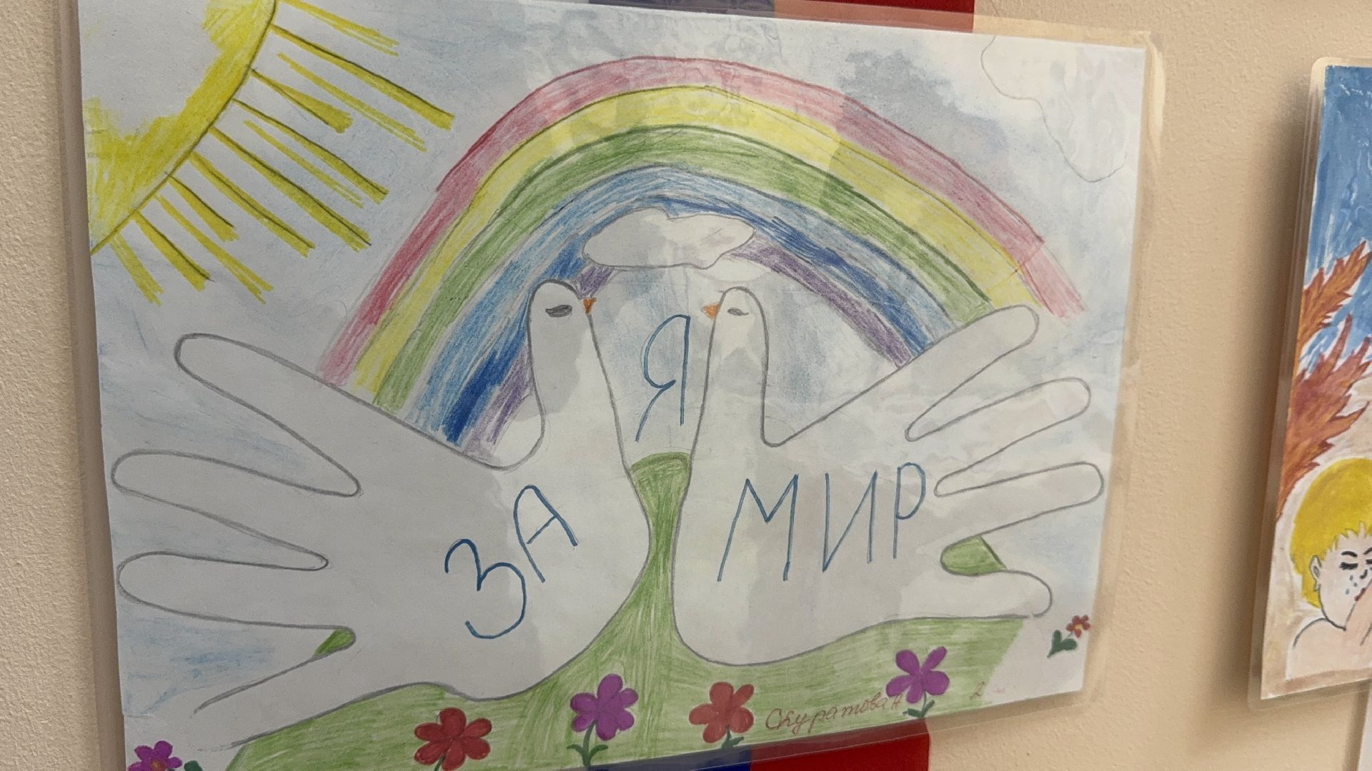 Рисунки