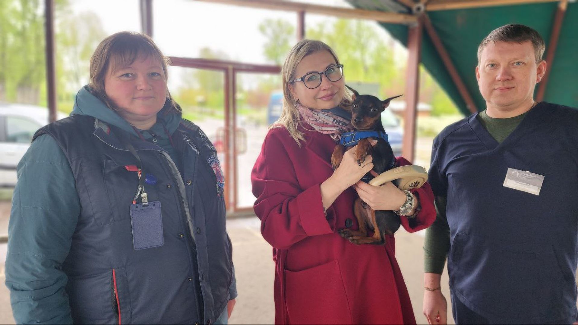 чипирование животных