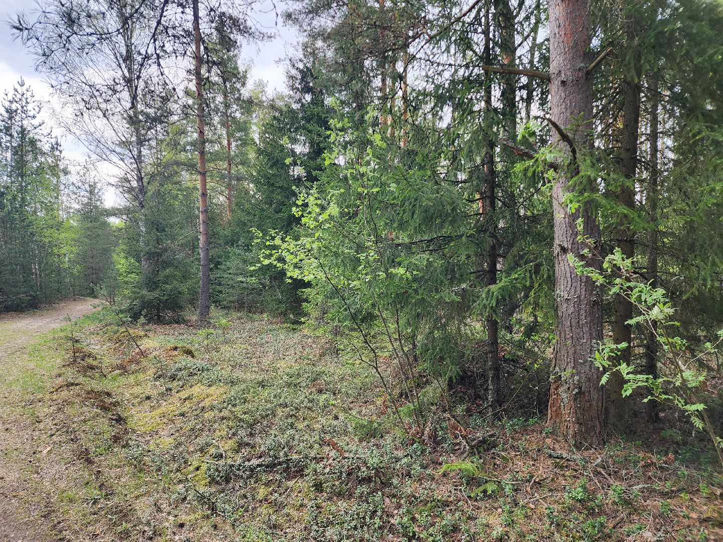 шатурский округ