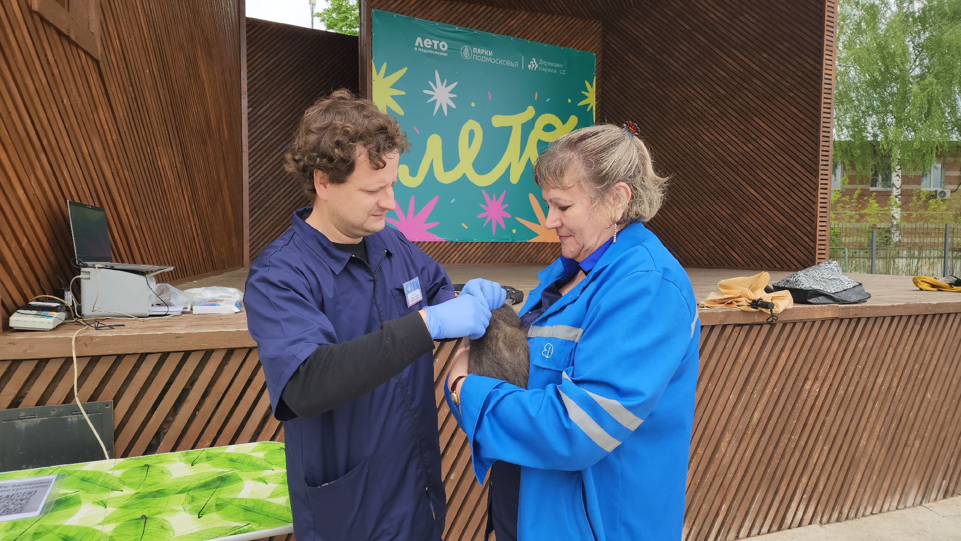 ликино-дулево