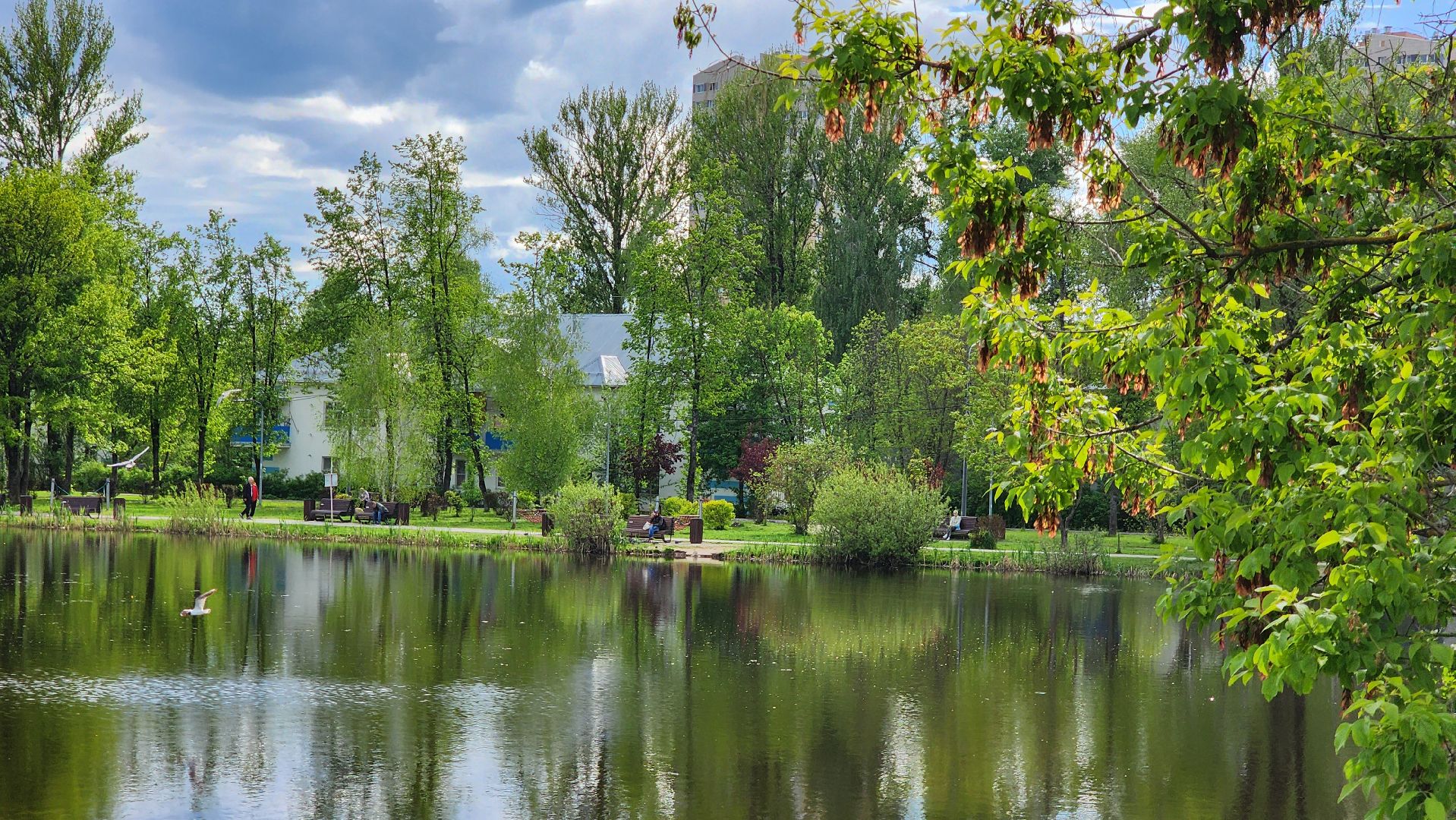 Голос