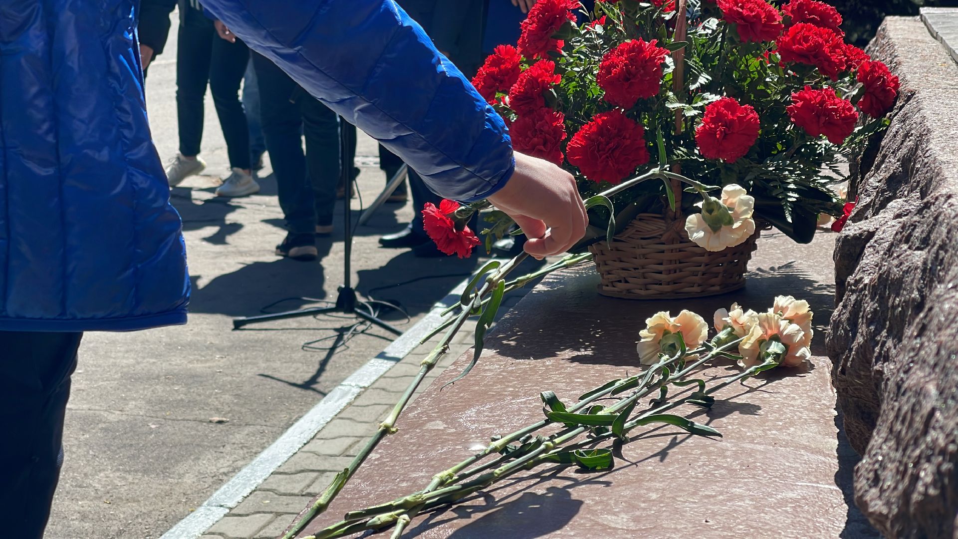 завод