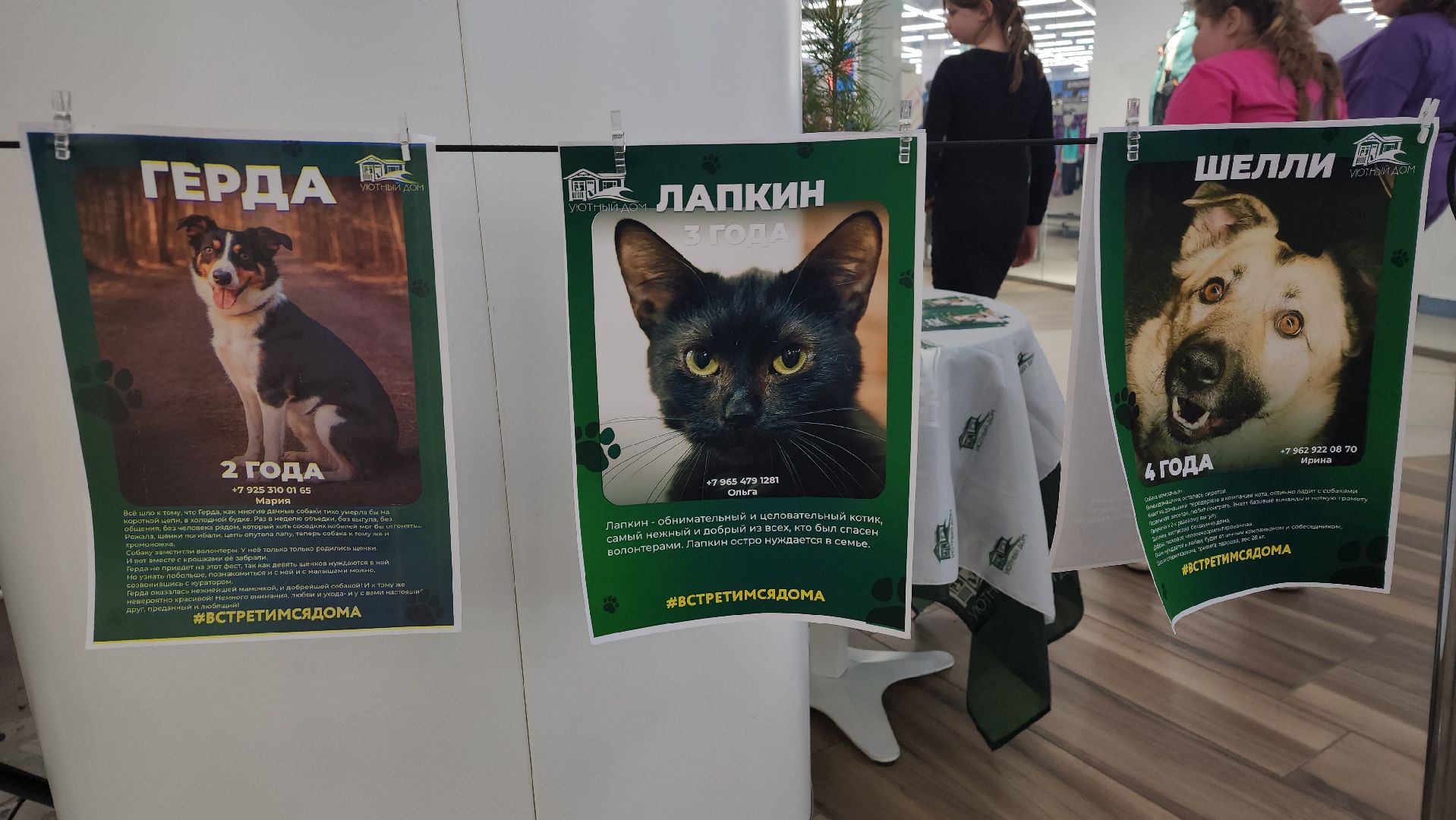 добро