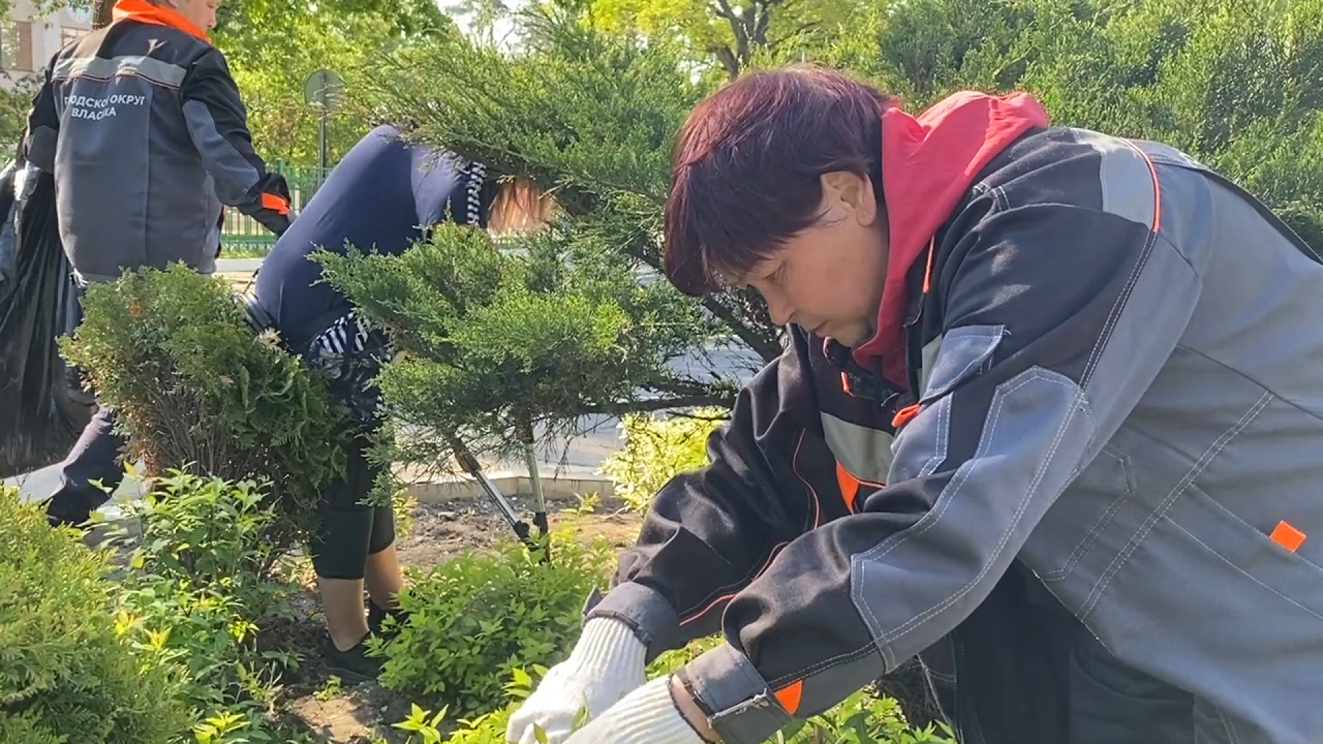 благоустройство территории