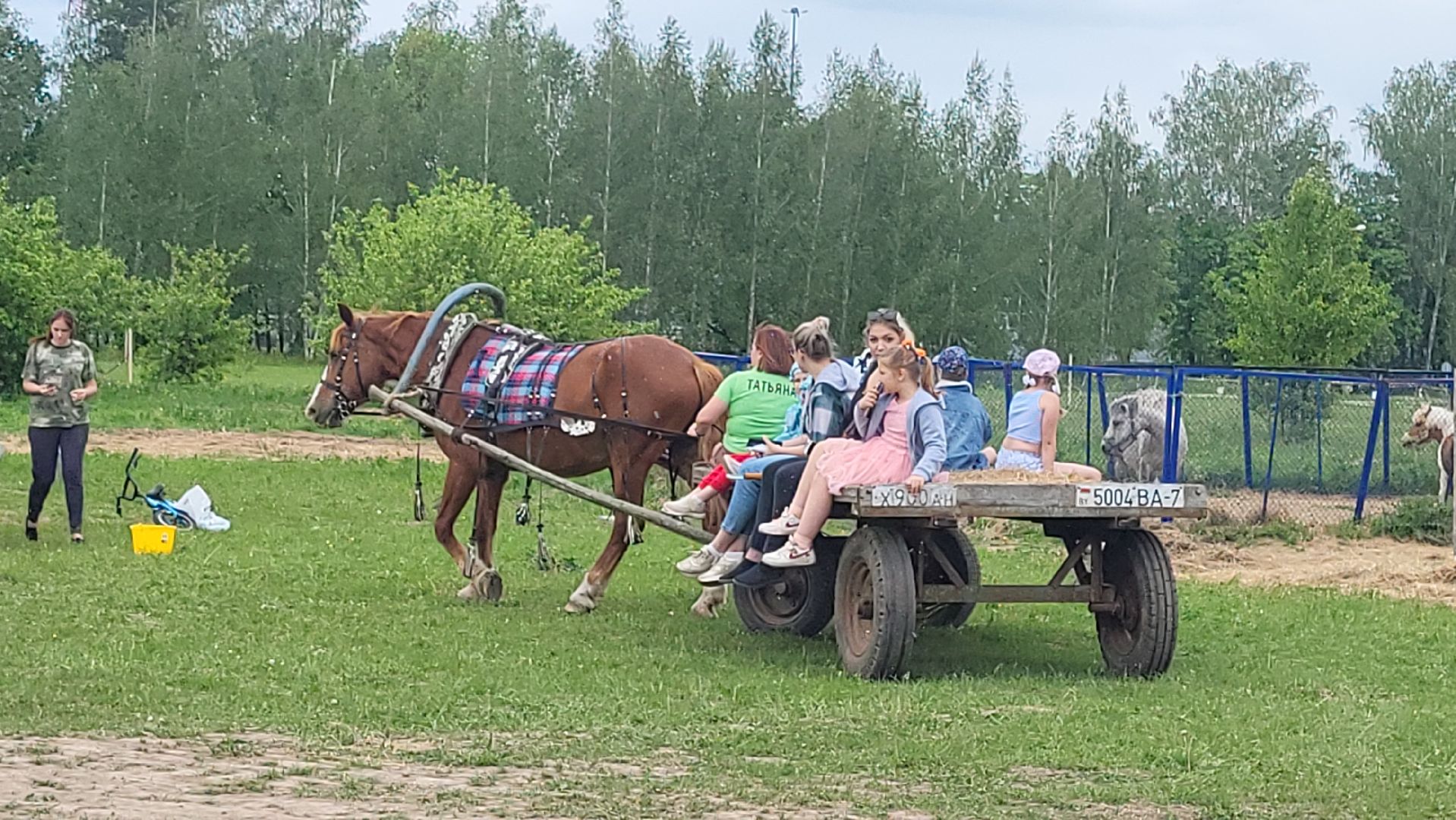 подмосковья