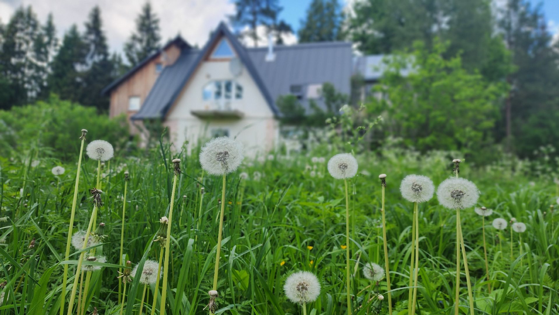 солнечногорск