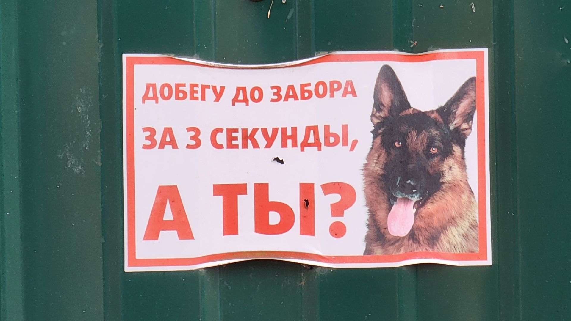 солнечногорск