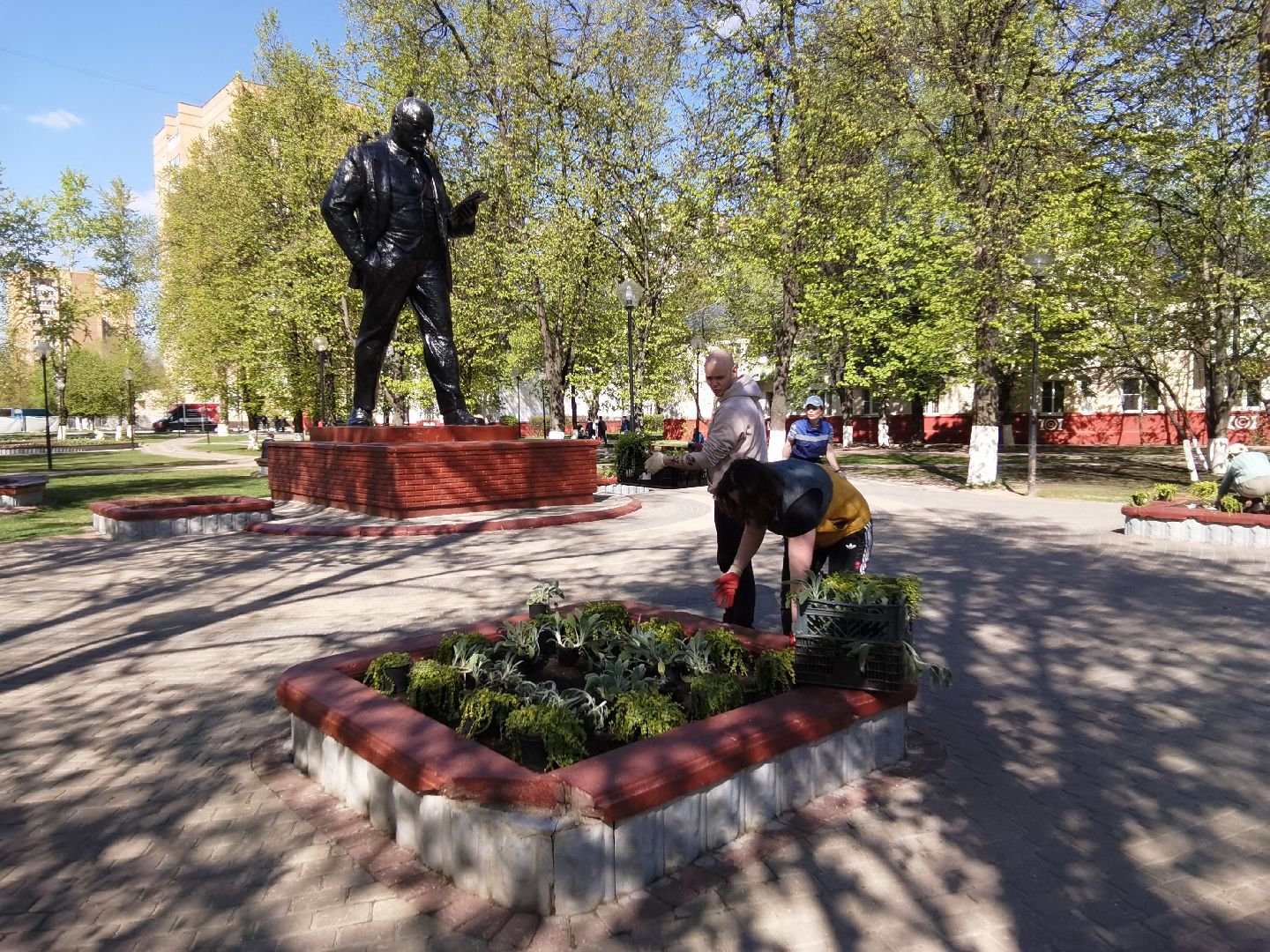 клумбы