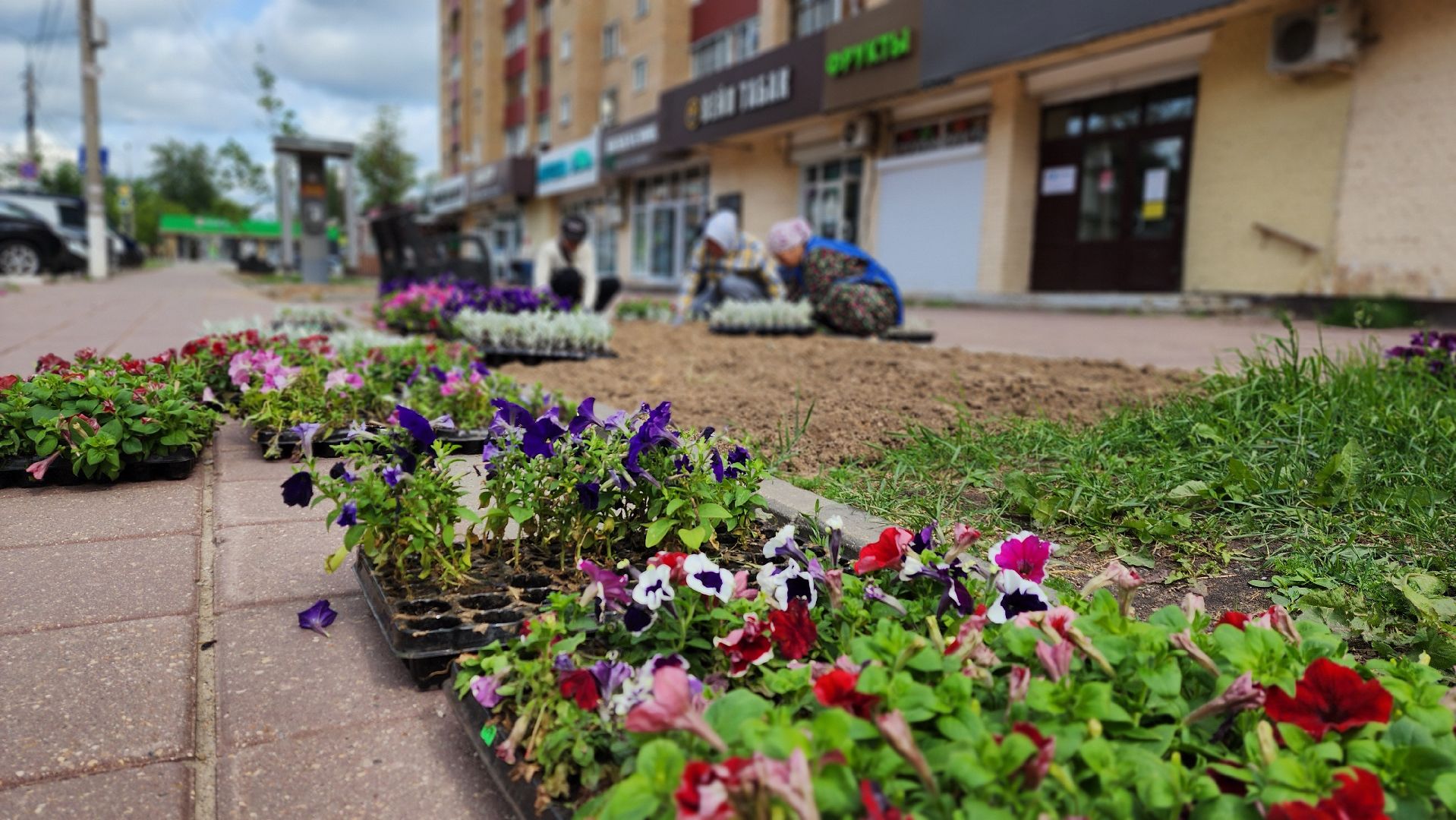 солнечногорск