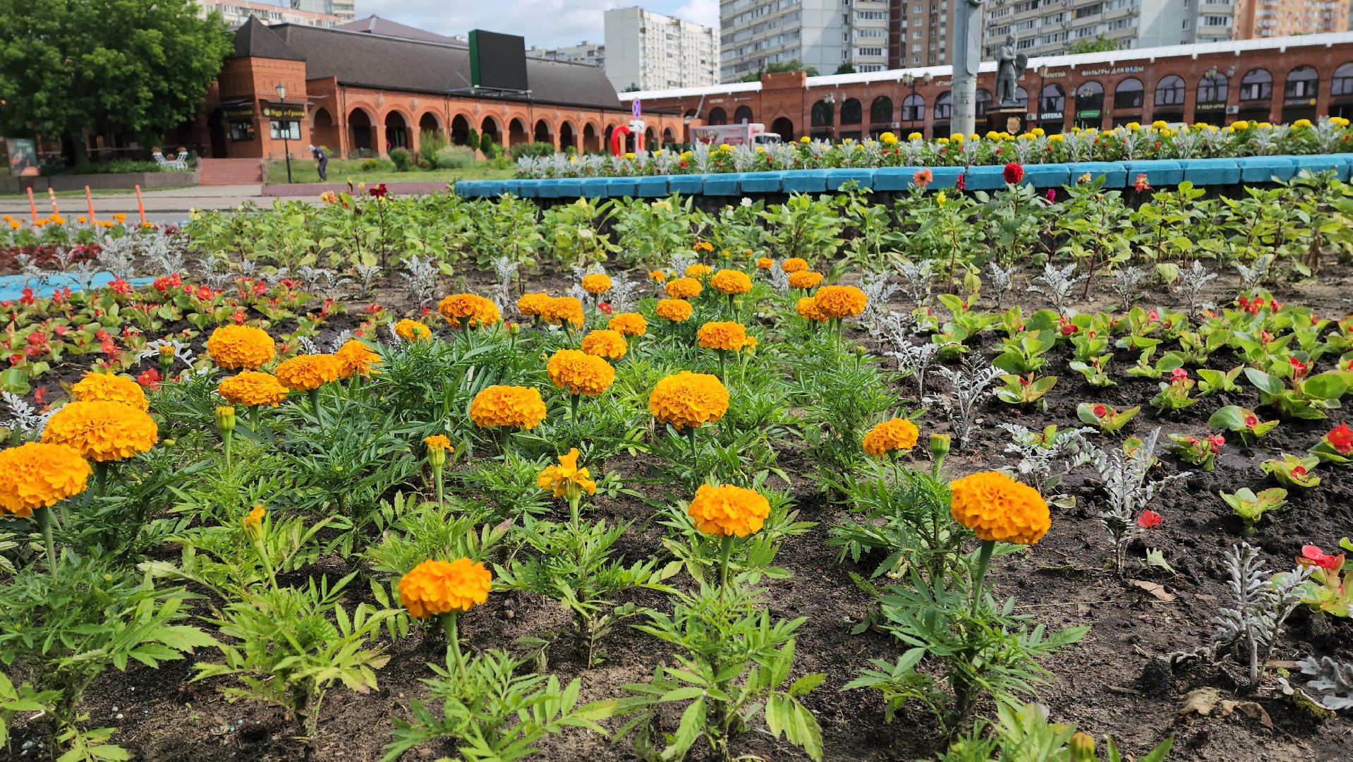 благоуствойство