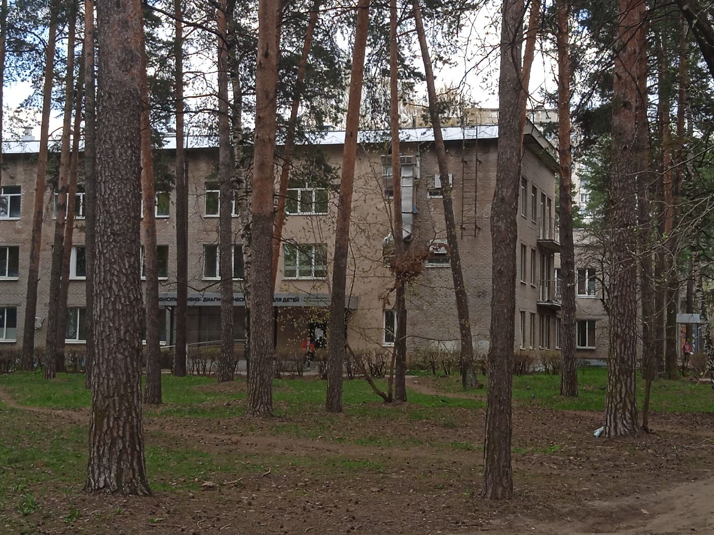 энцефалит