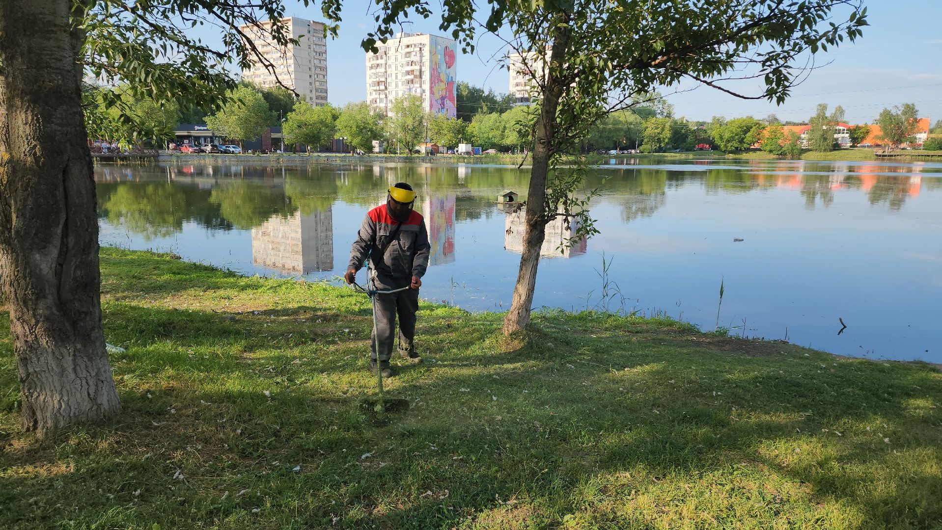 покос травы