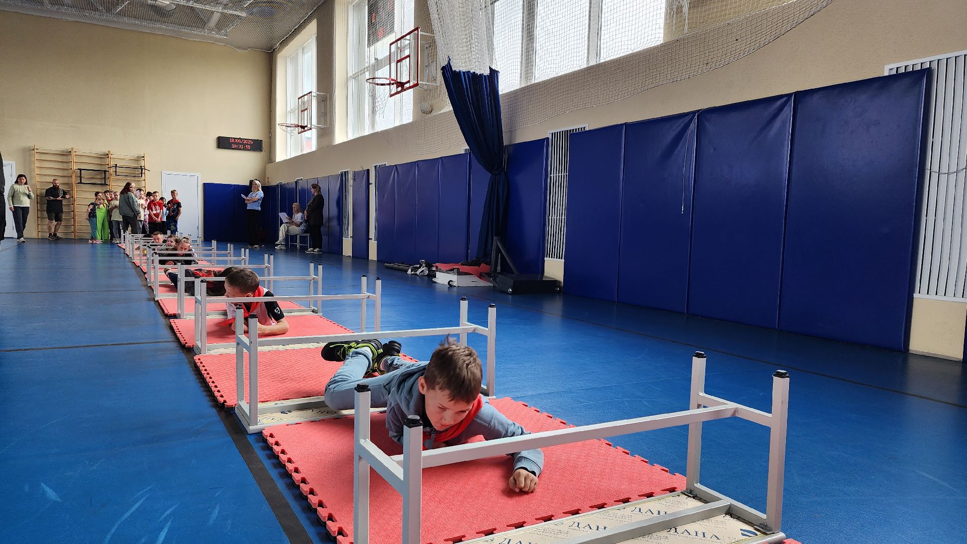 образование