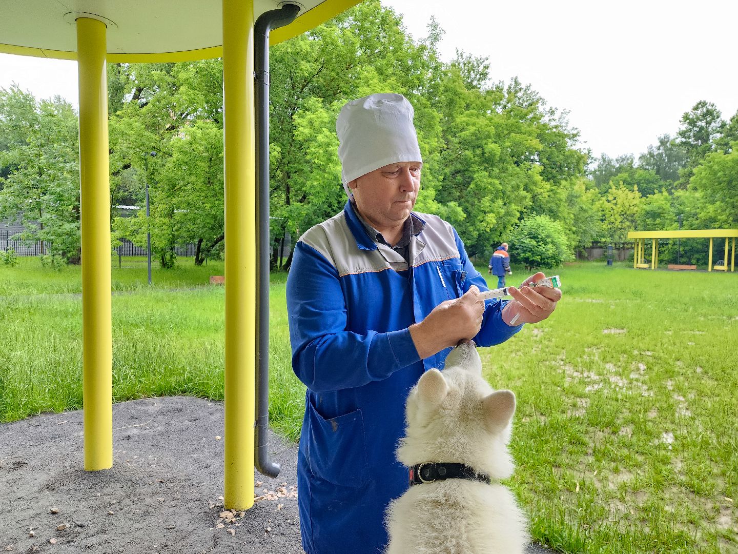 вакцинация животных от бешенства