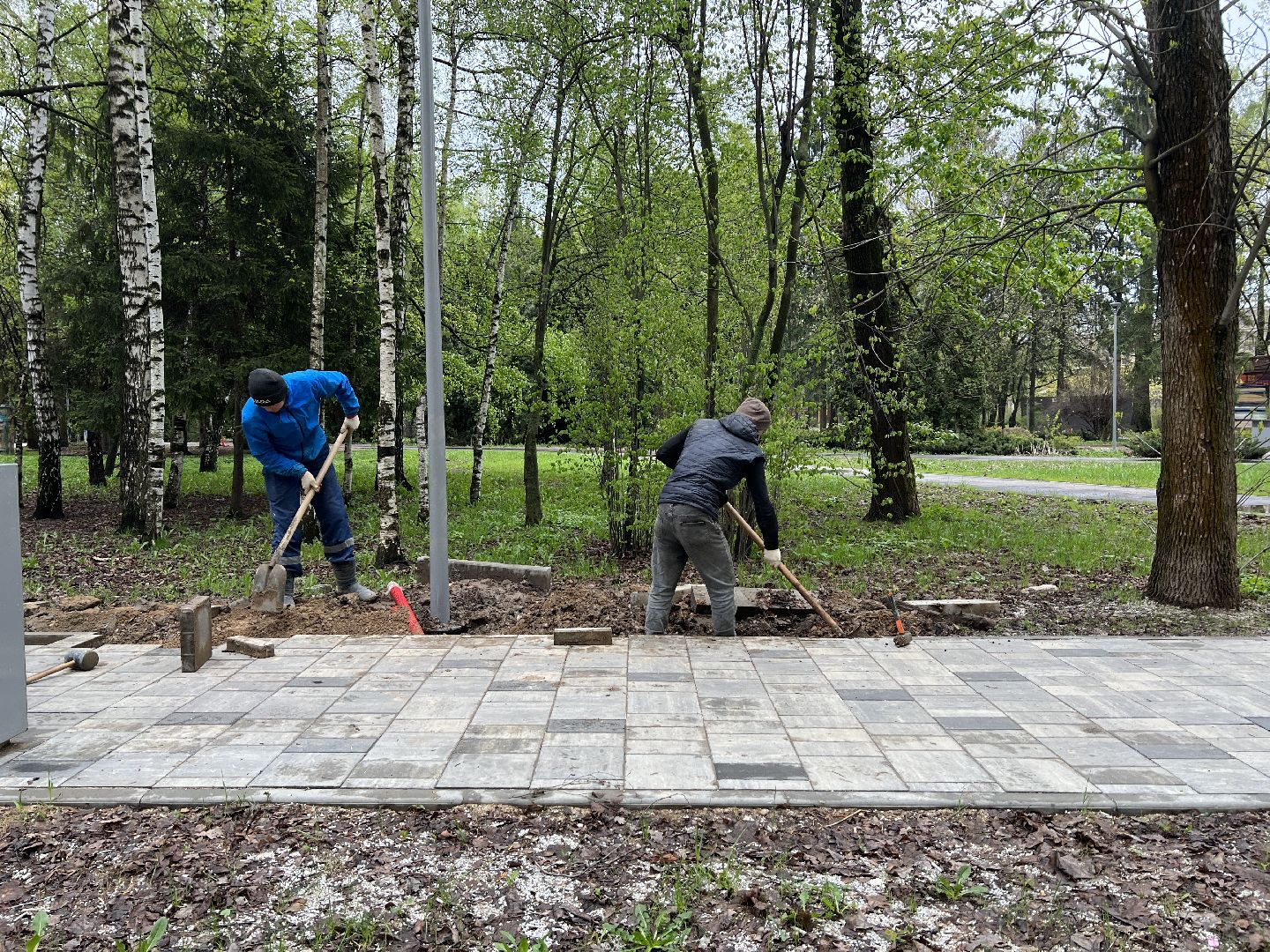 городская среда