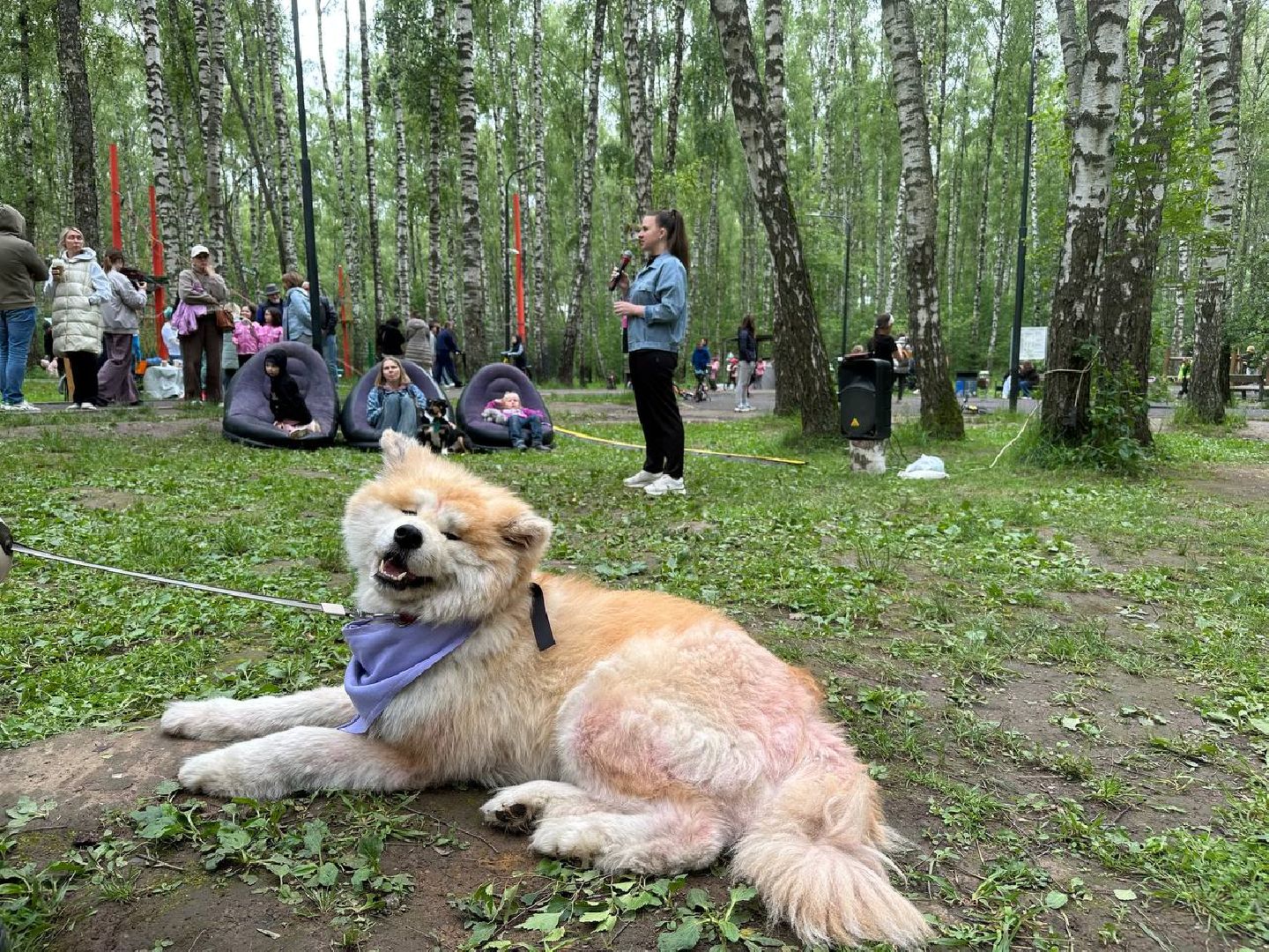 Домодедово