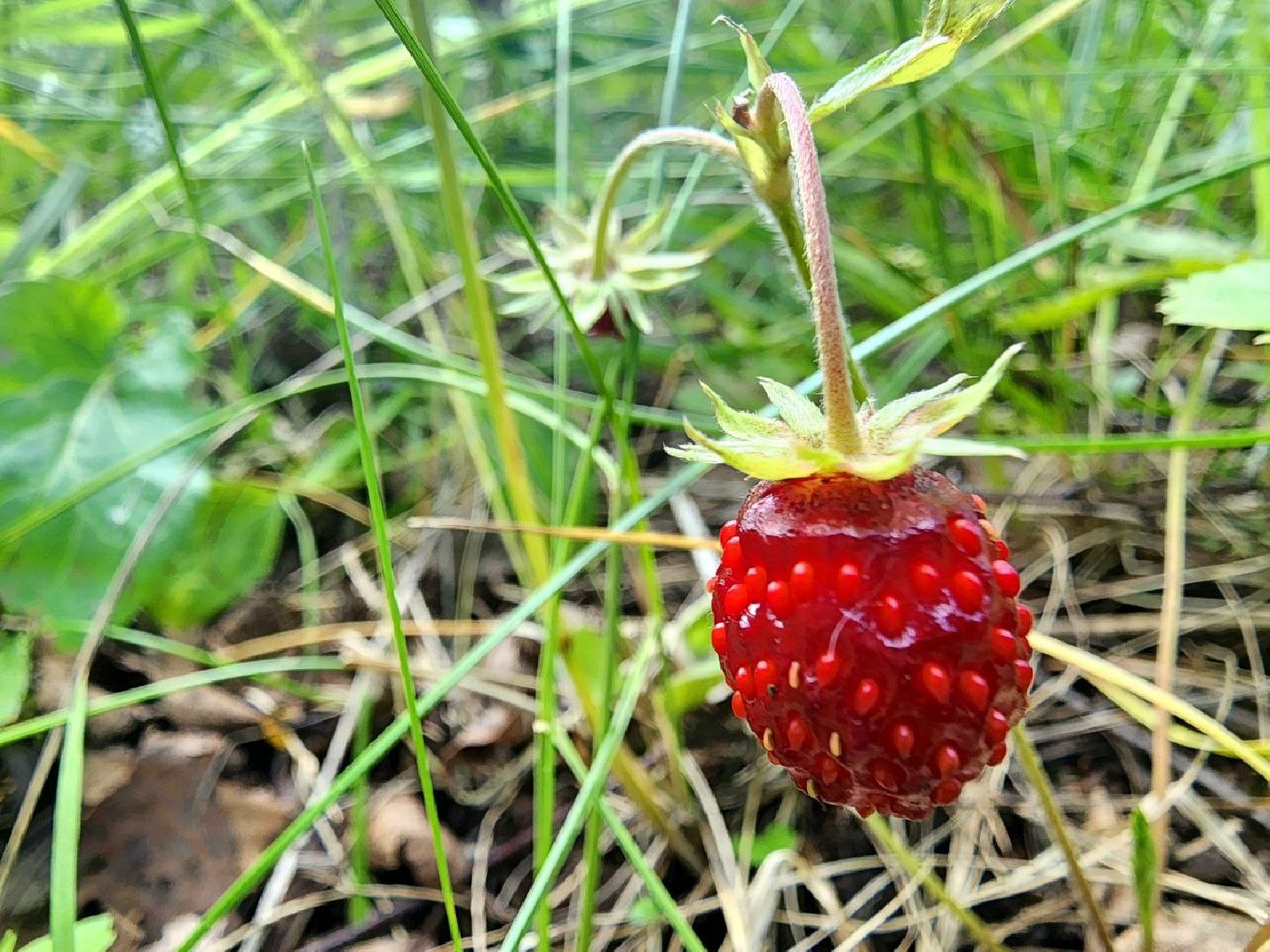 серпухов