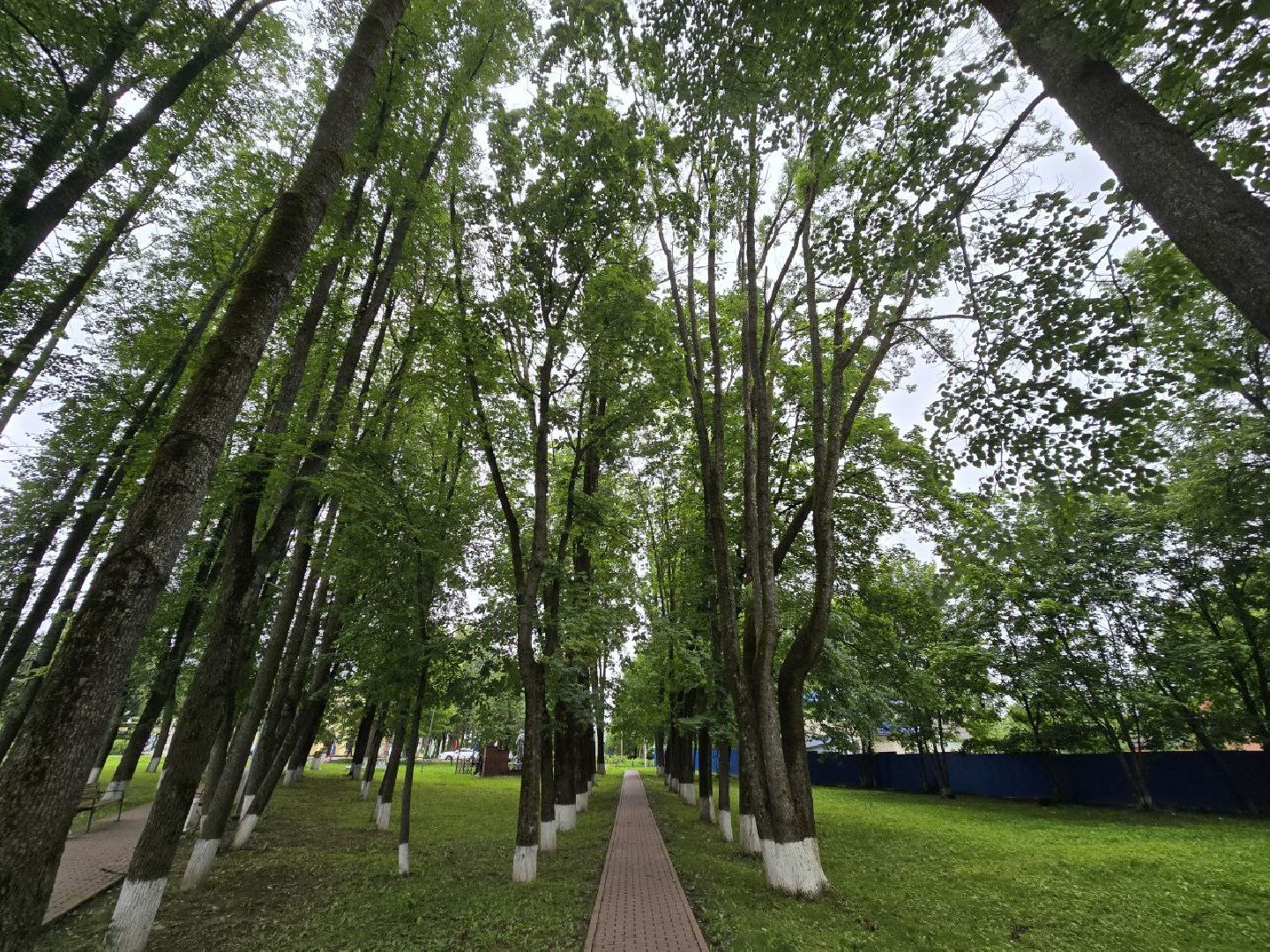 Город
