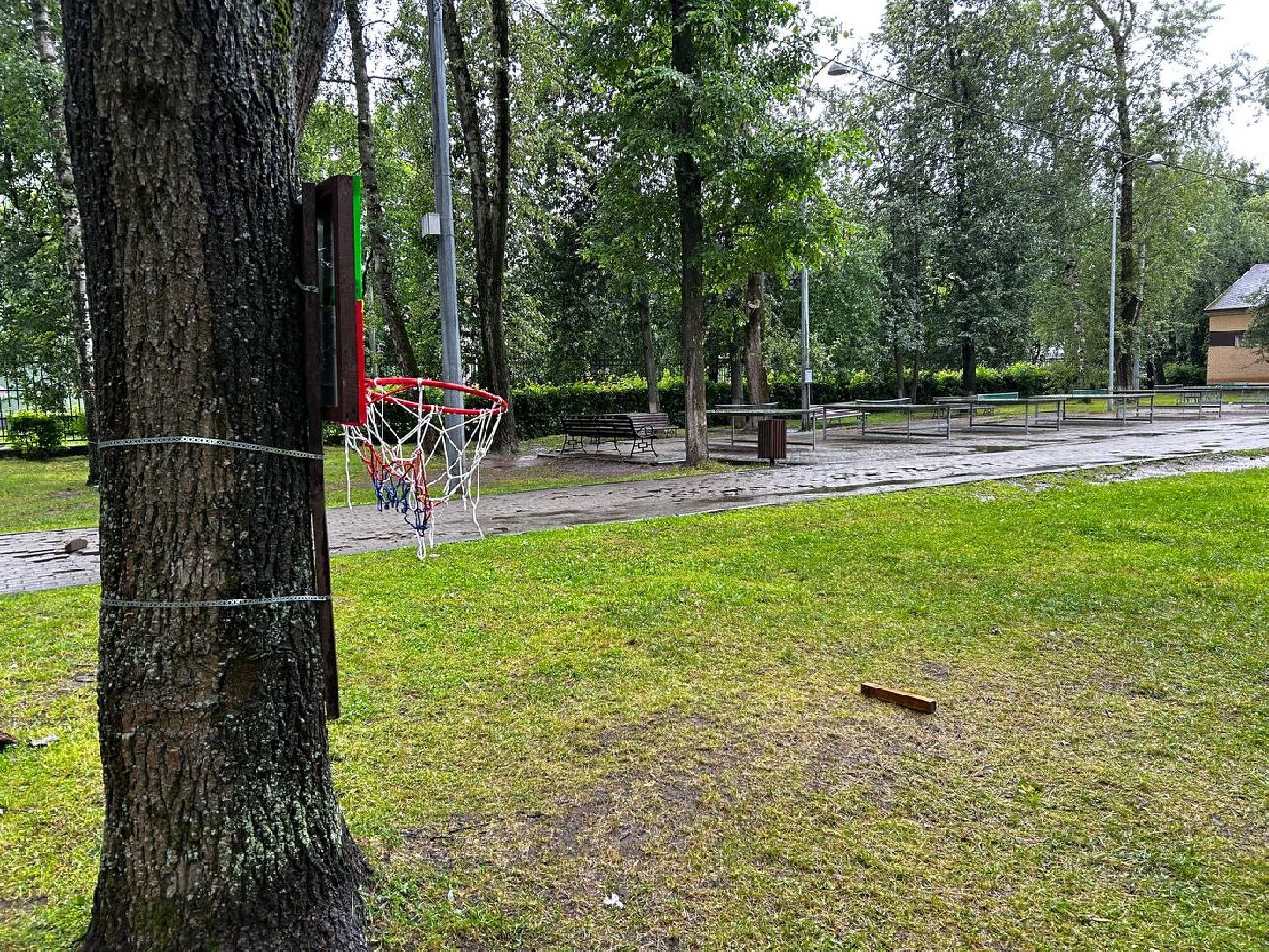 Город