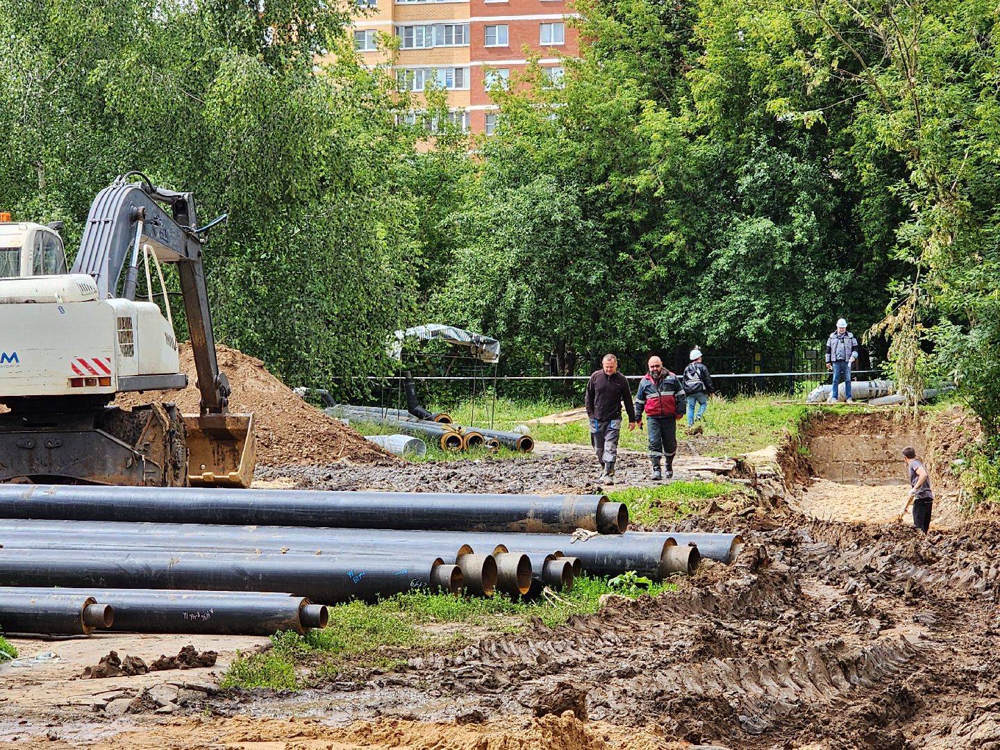 подмосковья