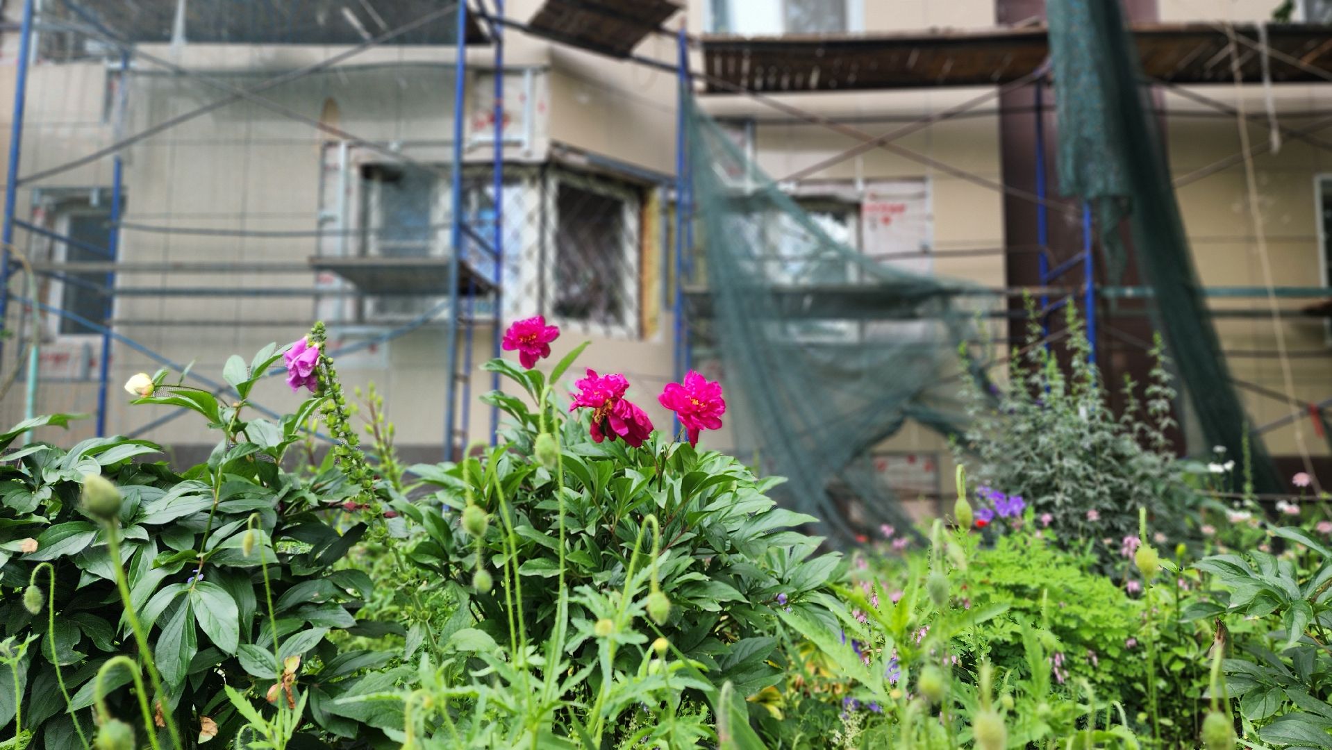 солнечногорск