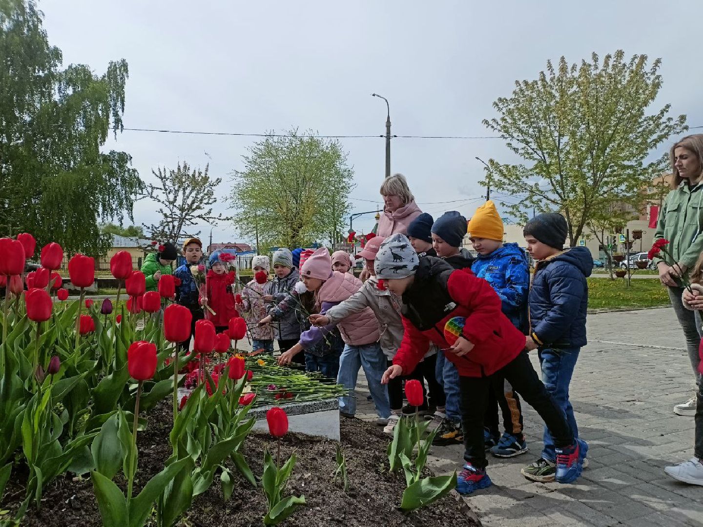 центральная библиотека