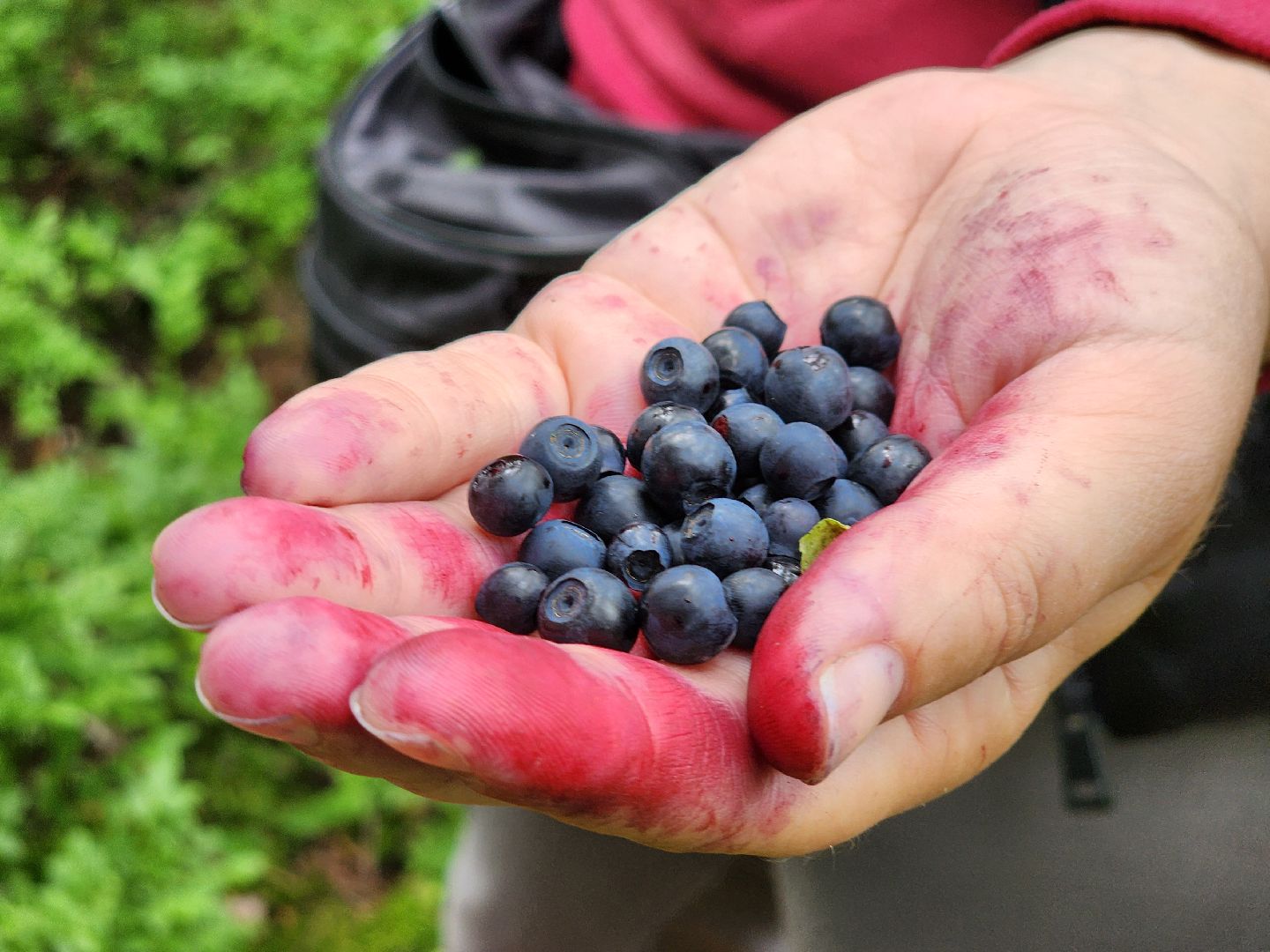 красноармейск