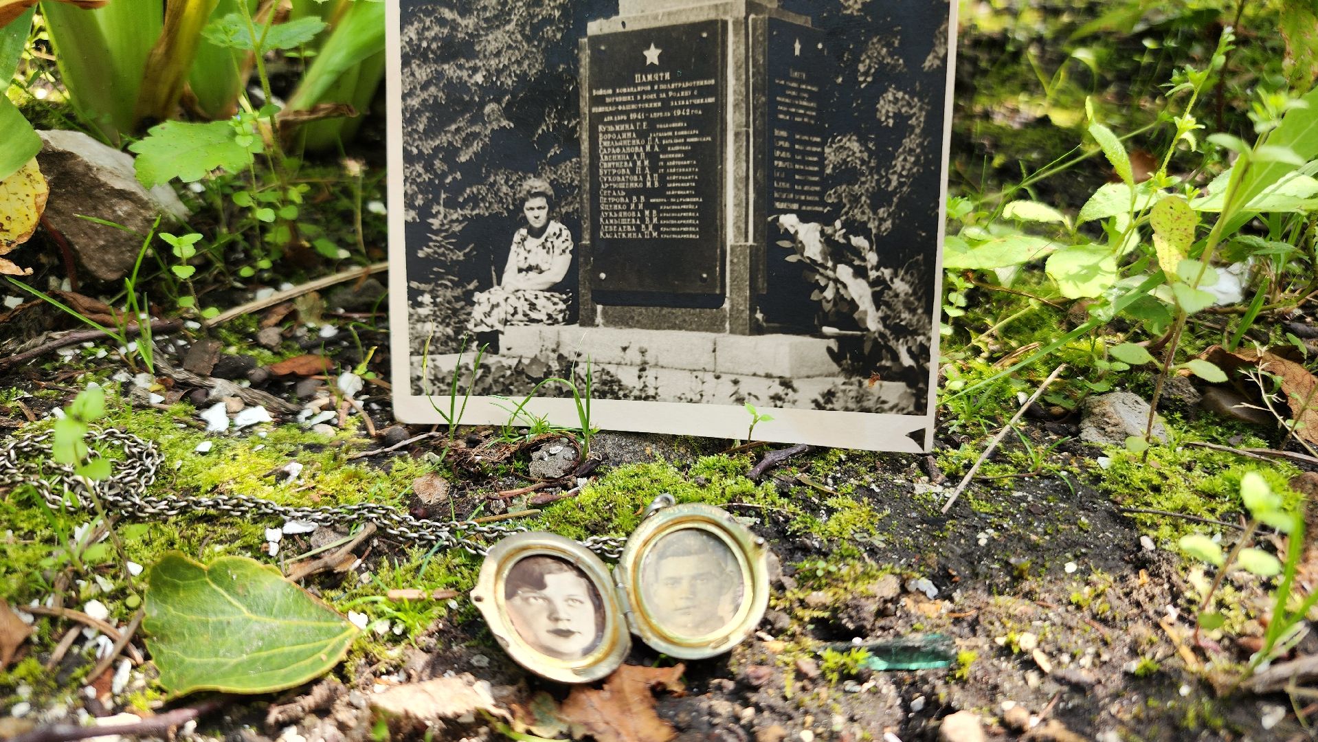 библиотека