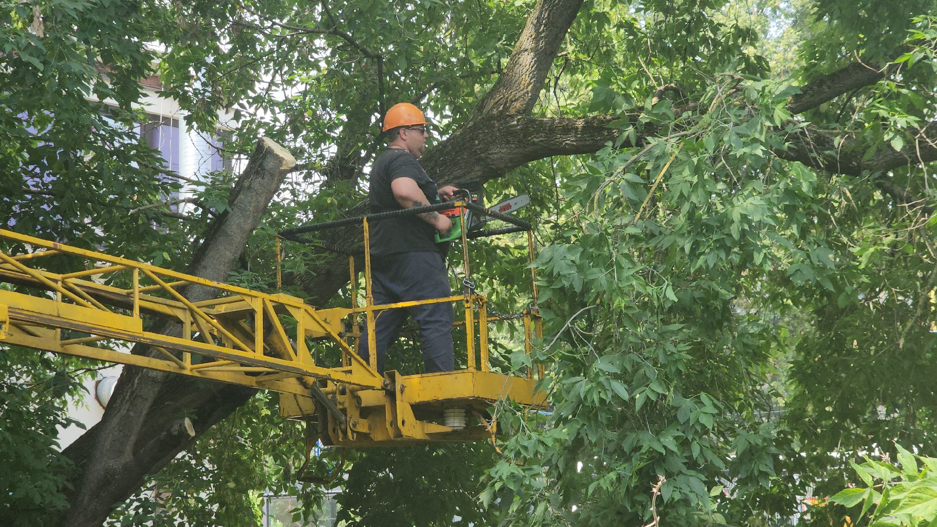 коммунальная служба