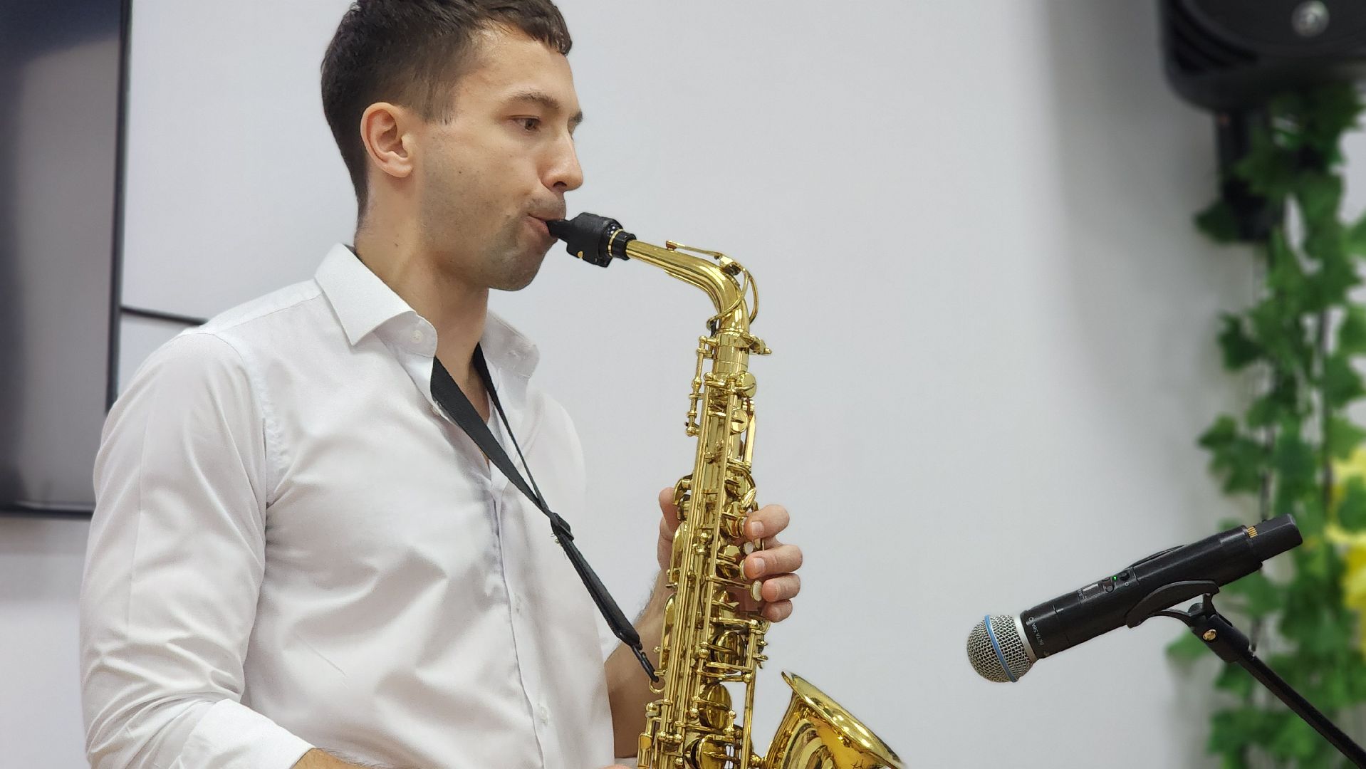 библиотека