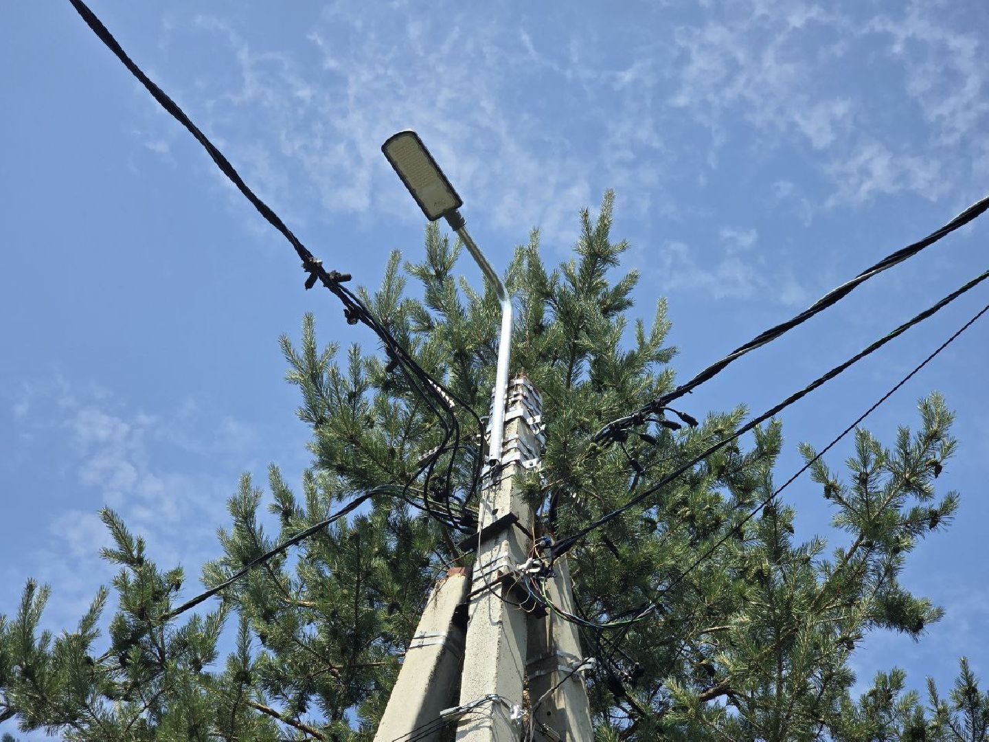 Подмосковье