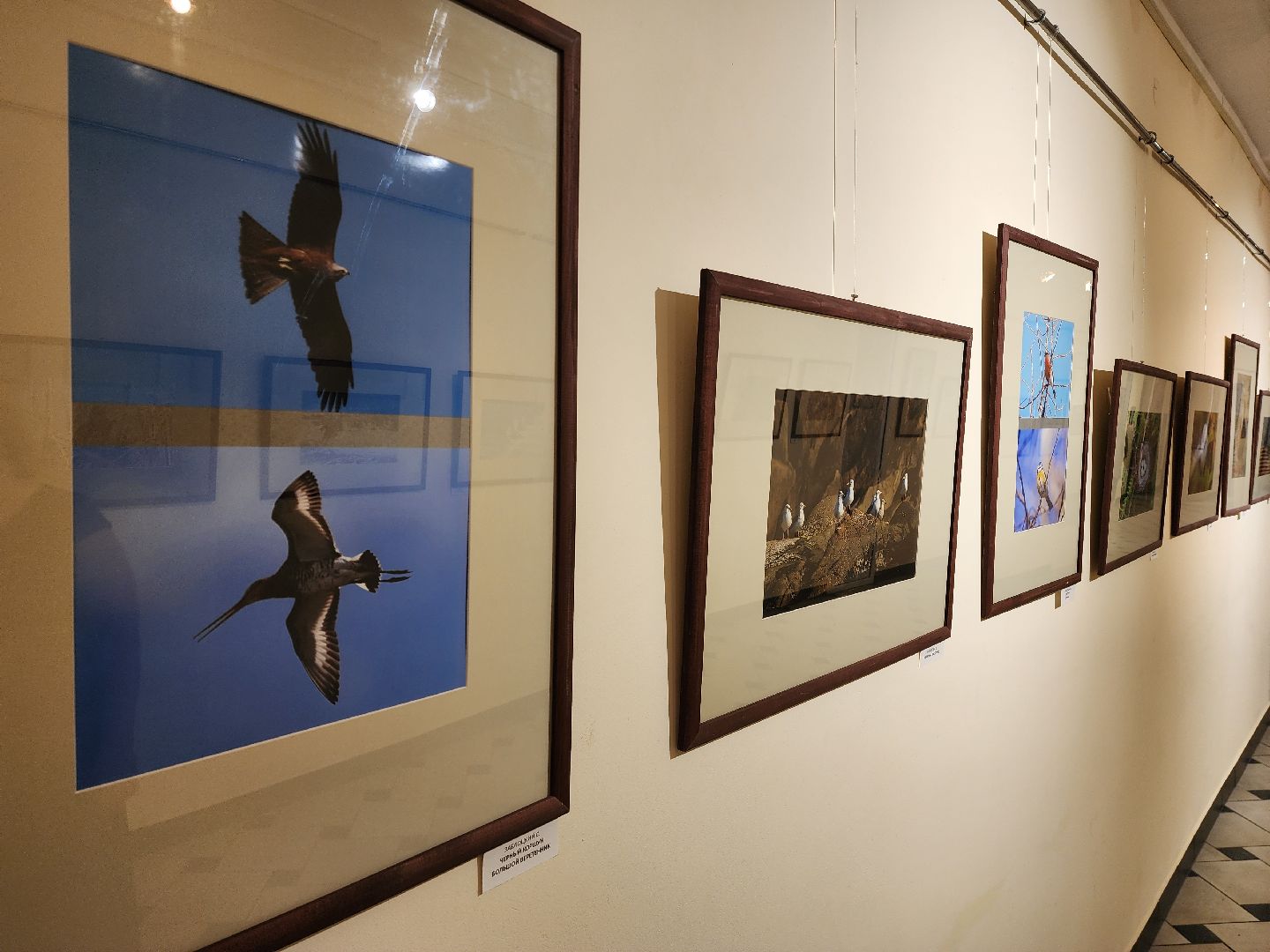 фотовыставка