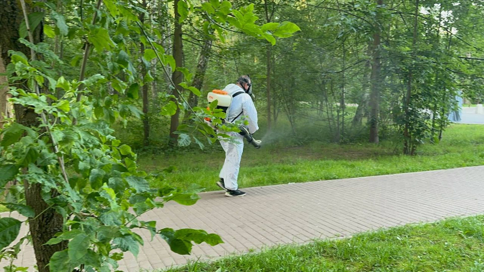 Домодедово