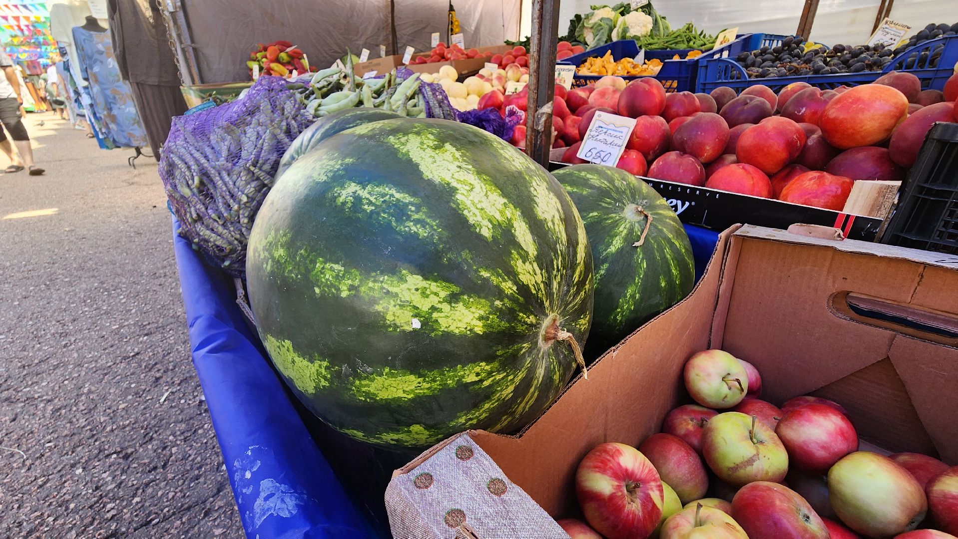 солнечногорск