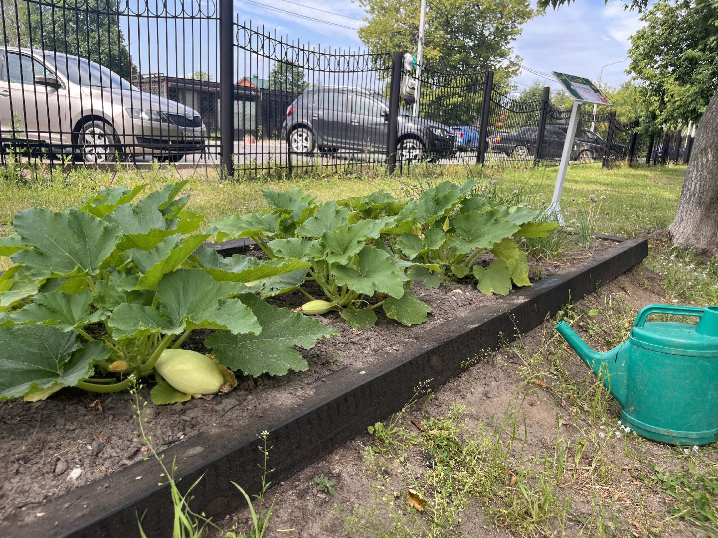 Активное долголетие