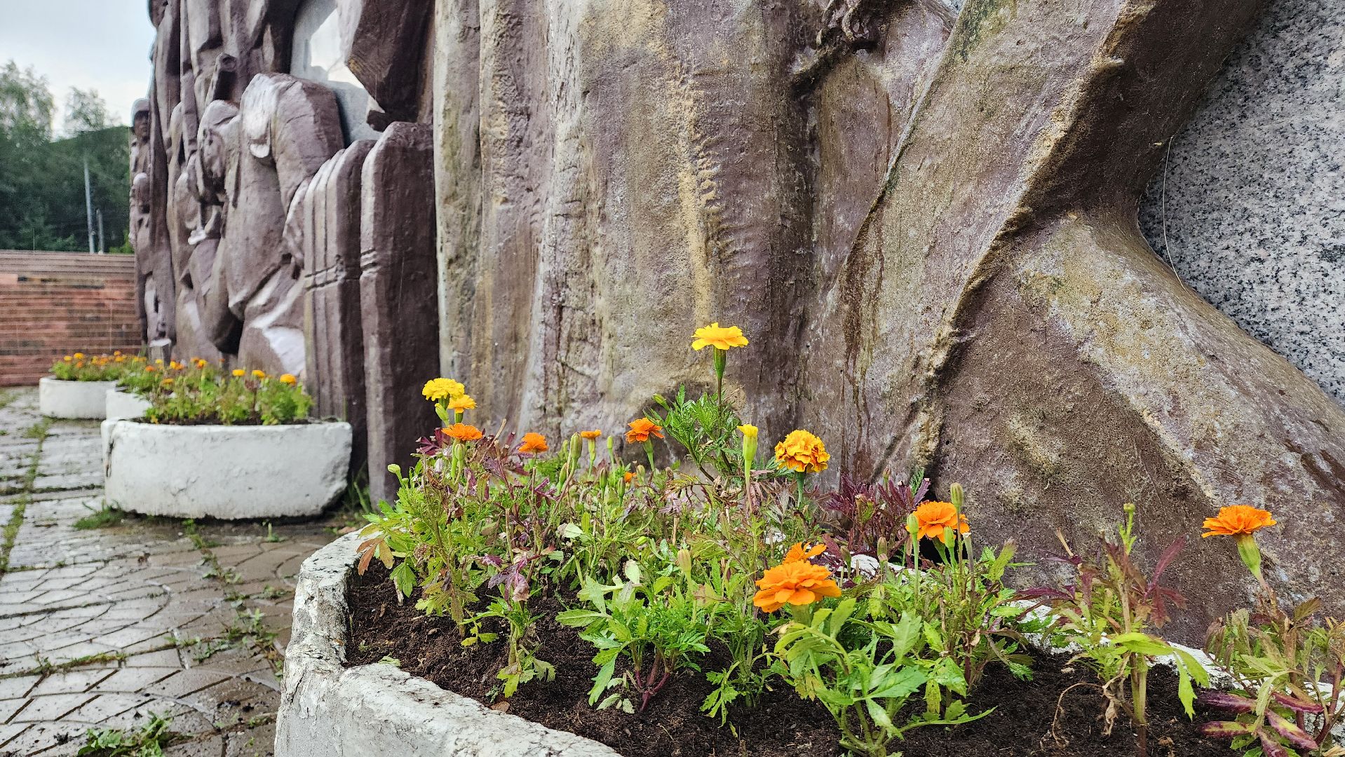 озеленение