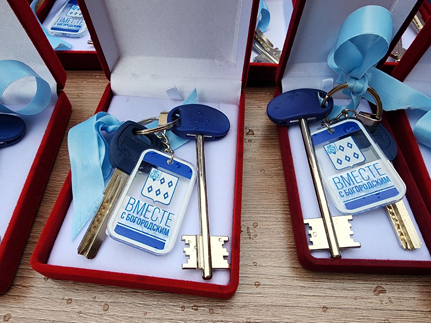 богородский городской округ